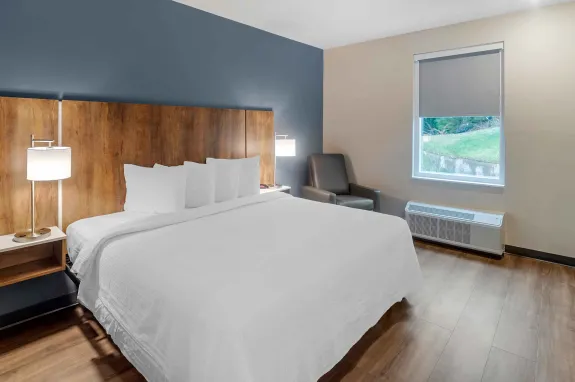 Studio Suite - 1 King Bed