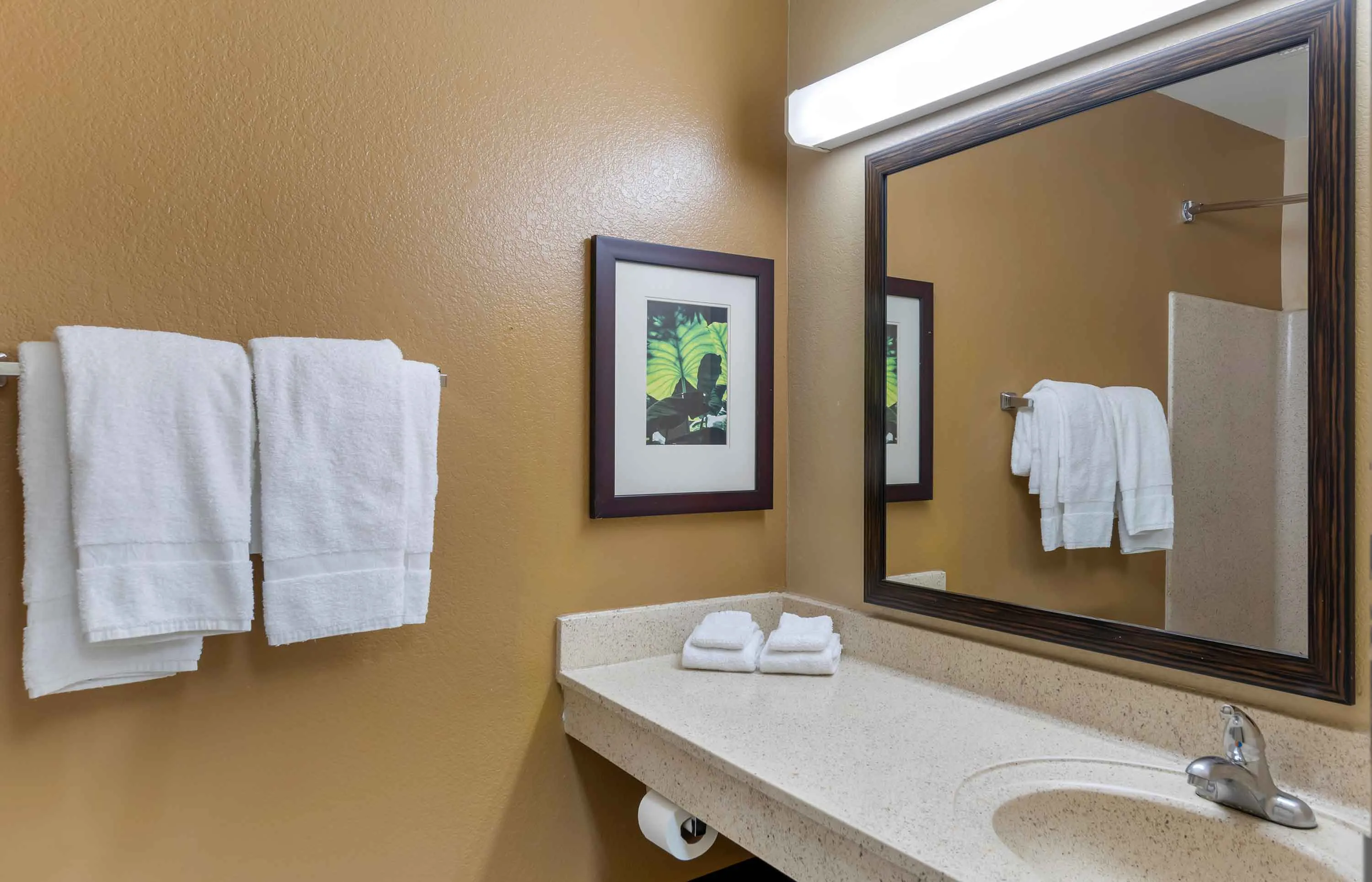 Studio Suite - 2 Full Beds