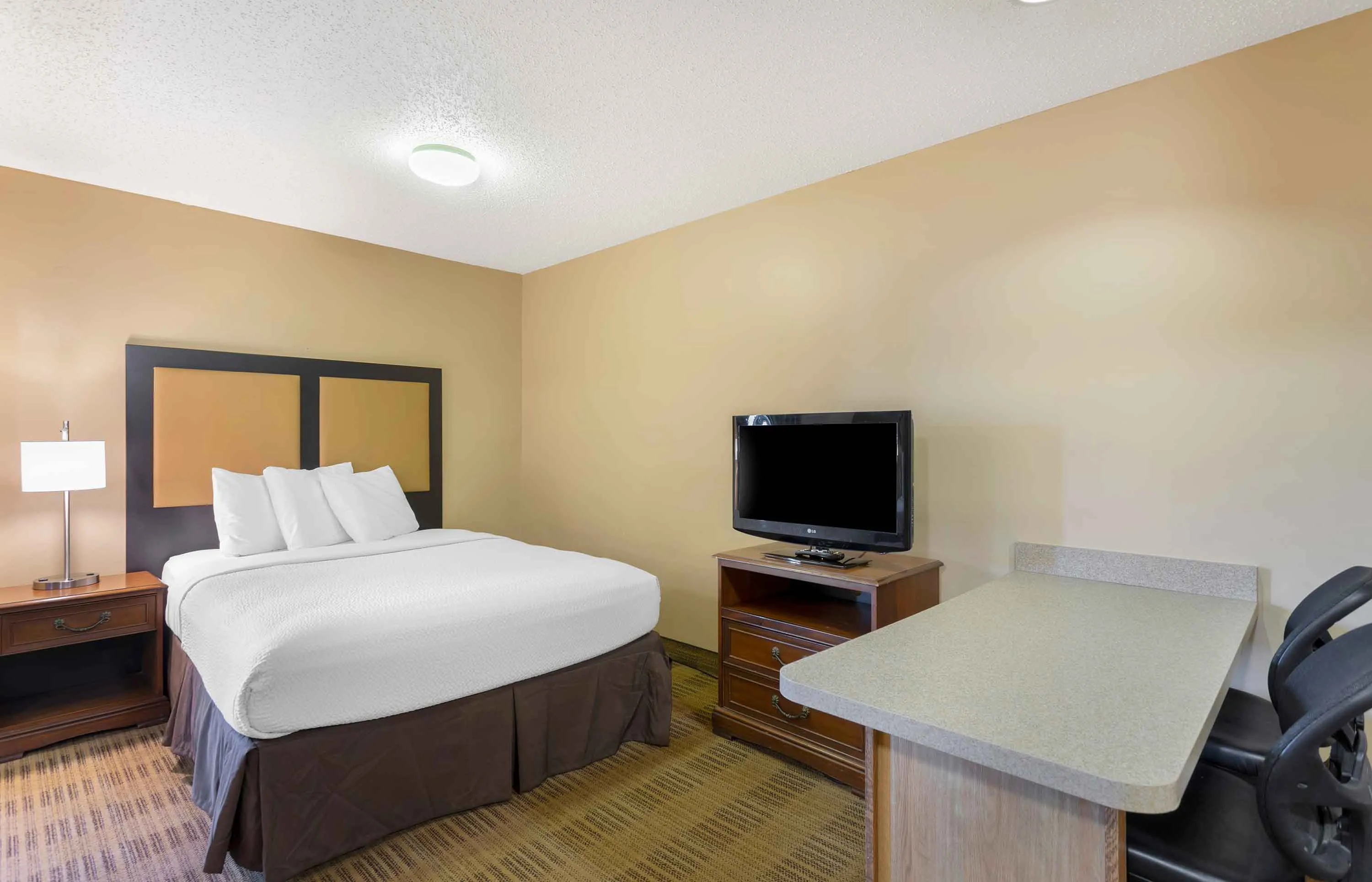 Studio Suite - 1 Queen and 1 Full Bed