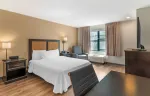 Studio Suite - 1 Queen Bed