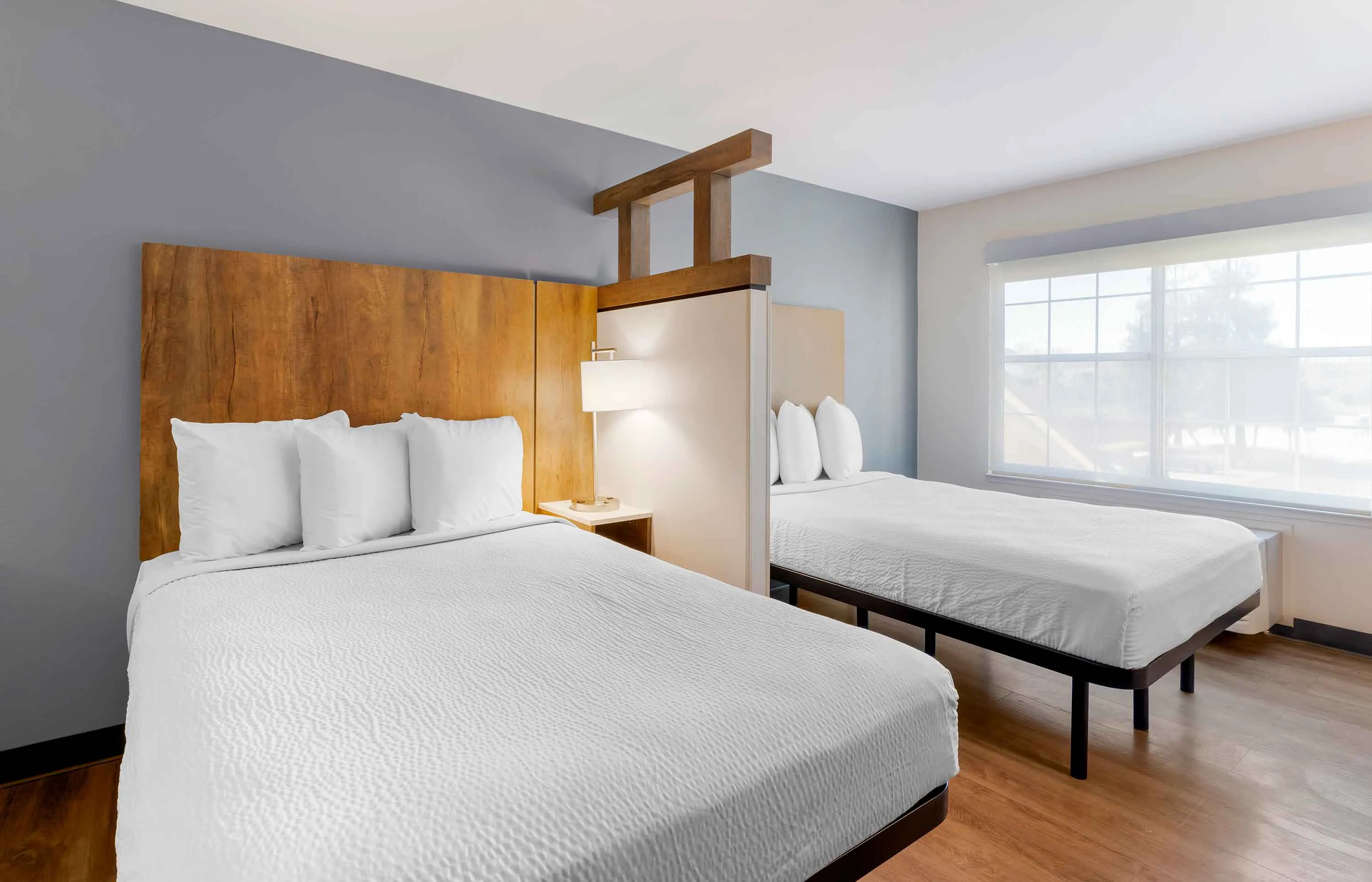 Studio Suite - 2 Full Beds