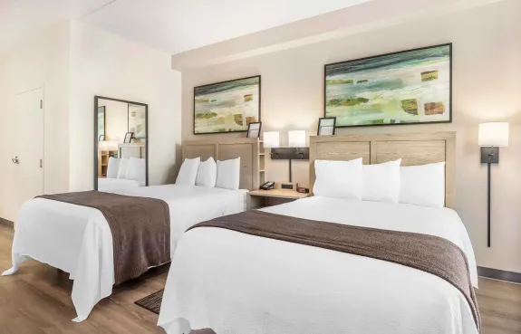 Studio Suite - 2 Queen Beds