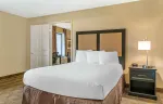 1 Bedroom Suite - 1 Queen Bed