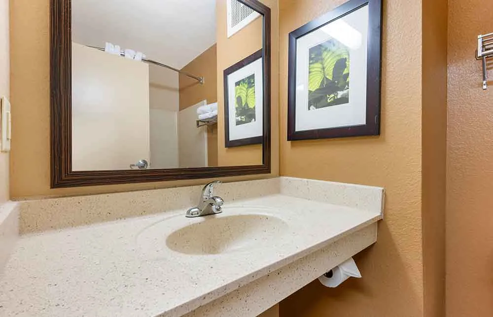 Studio Suite - 2 Full Beds