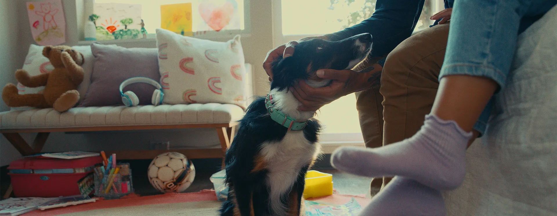 Black and white dog being pet by its owner