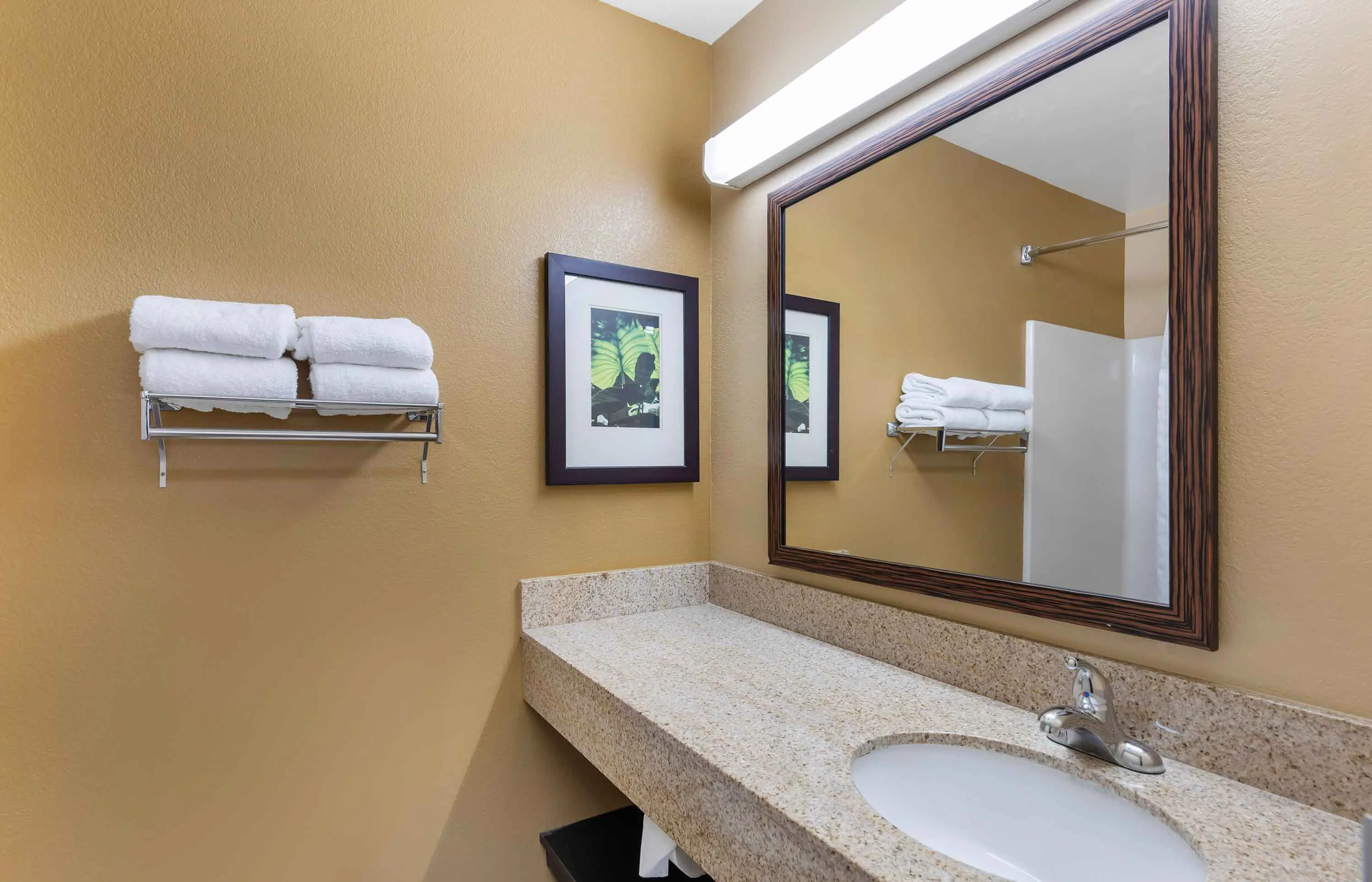 Studio Suite - 2 Full Beds