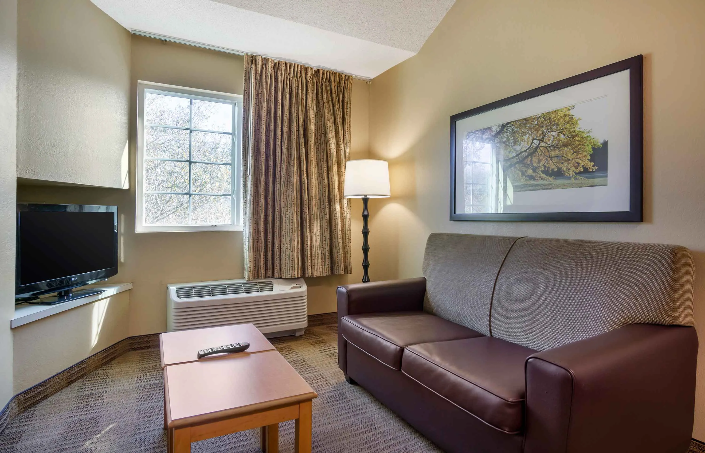 1 Bedroom Suite - 1 Queen Bed