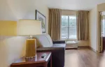 1 Bedroom Suite - 1 King Bed