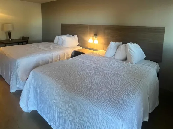 Studio Suite - 2 Queen Beds