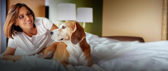 woman and dog on bed in hotel room
