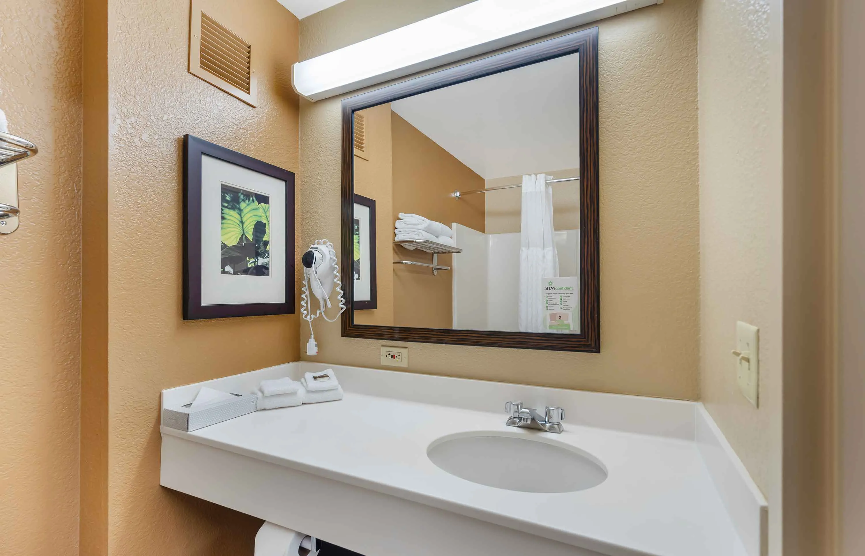 1 Bedroom Suite - 1 King Bed
