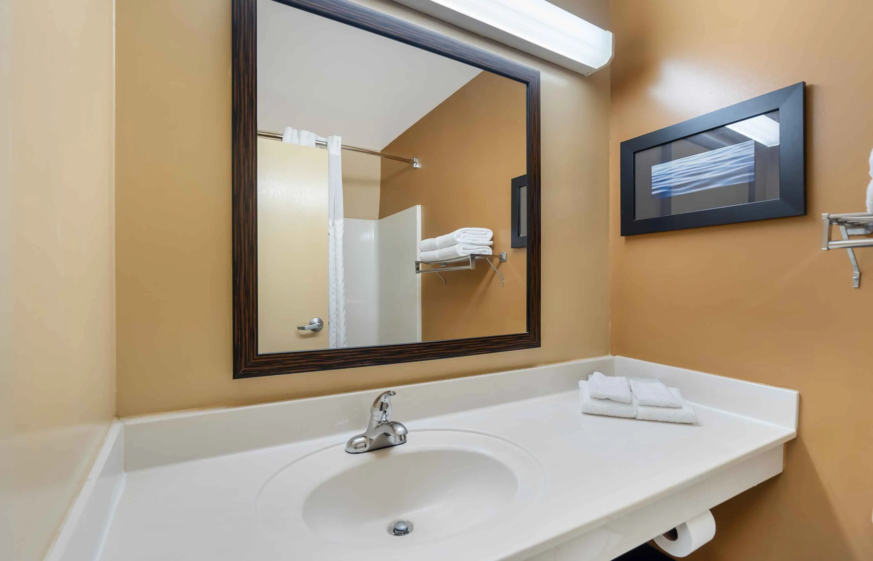 Studio Suite - 1 Queen Bed