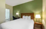1 Bedroom Suite - 1 Queen Bed