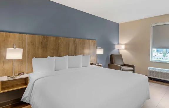 Studio Suite - 1 King Bed