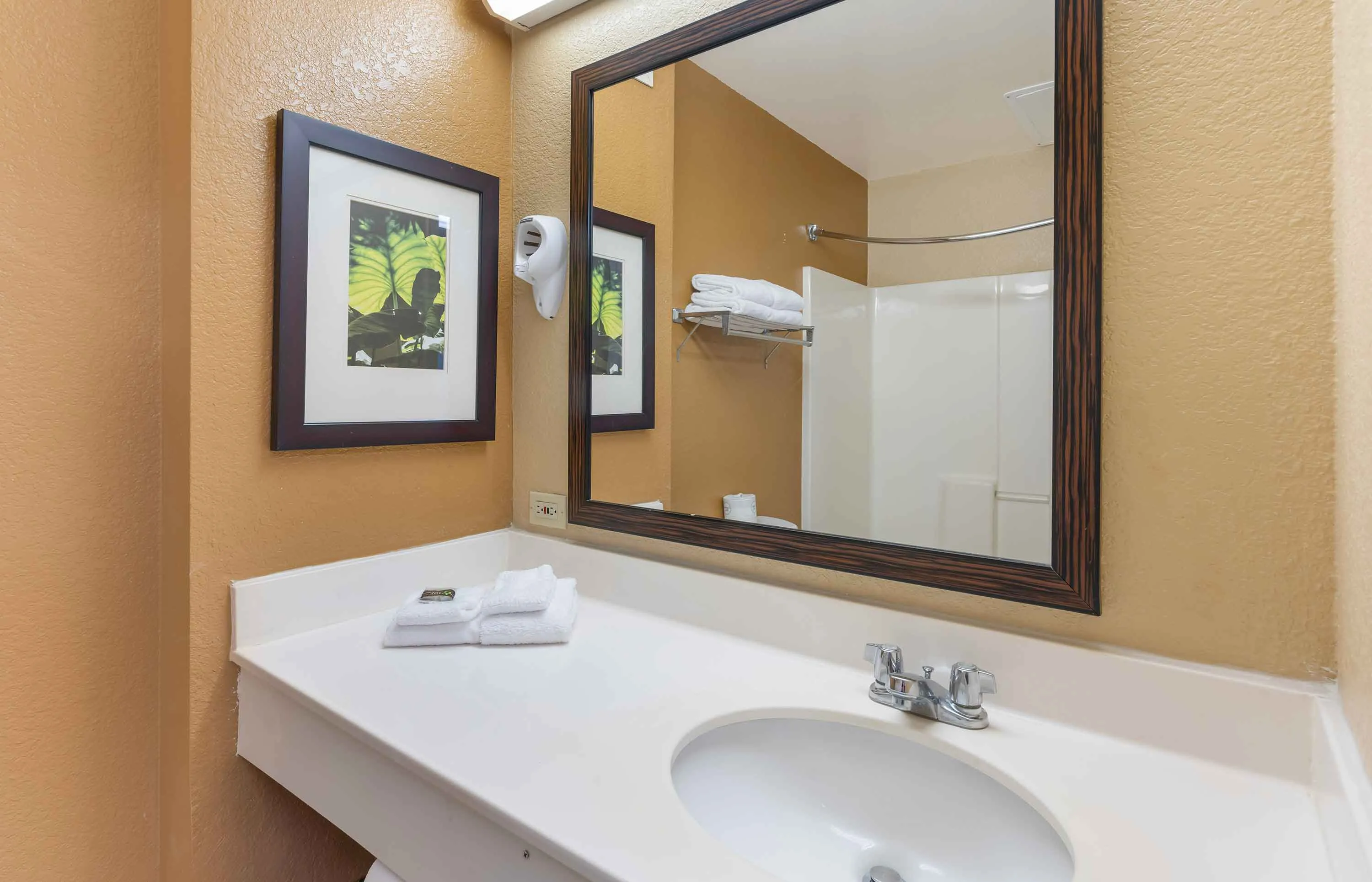 Studio Suite - 2 Full Beds