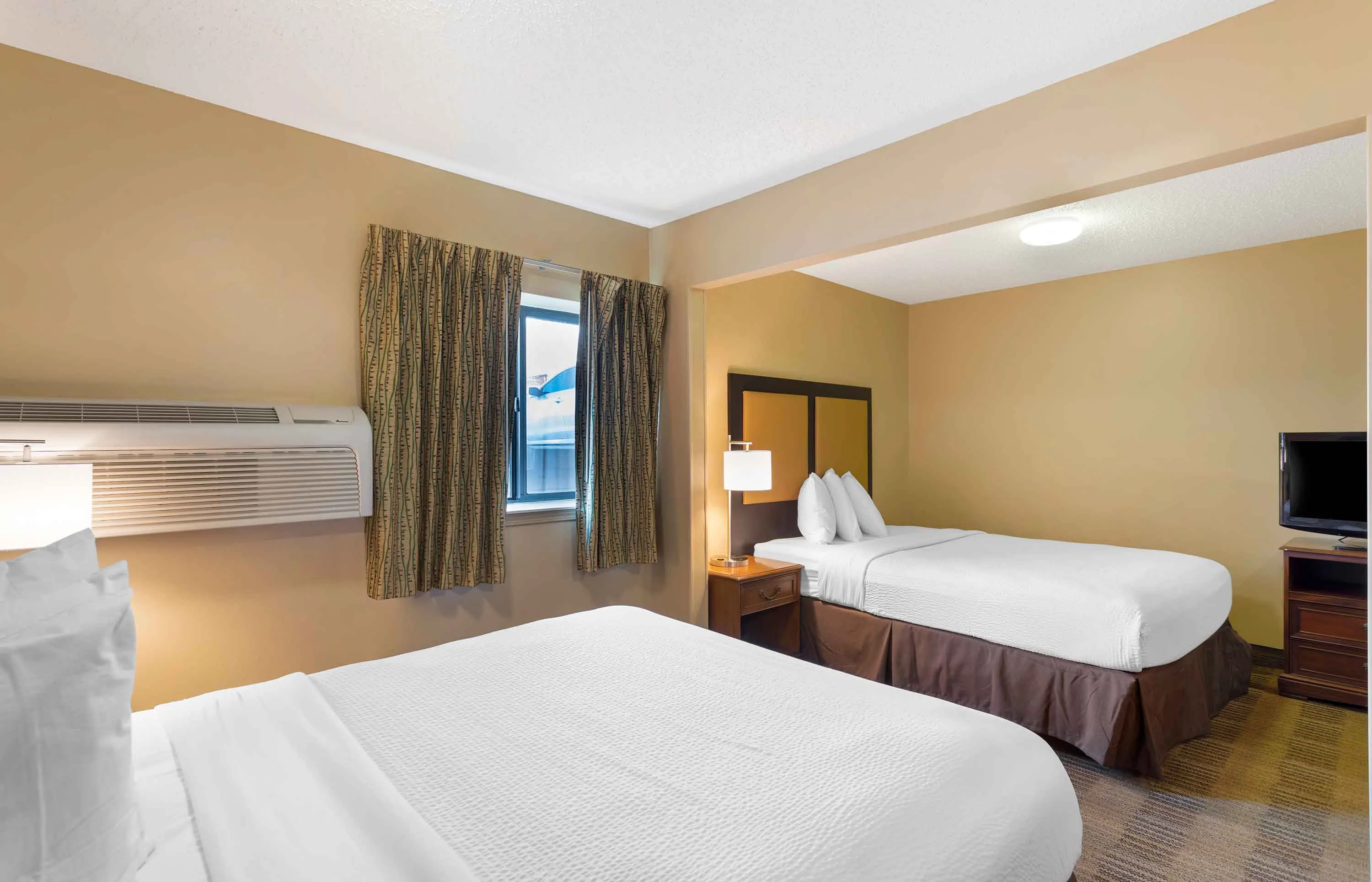 Studio Suite - 2 Full Beds