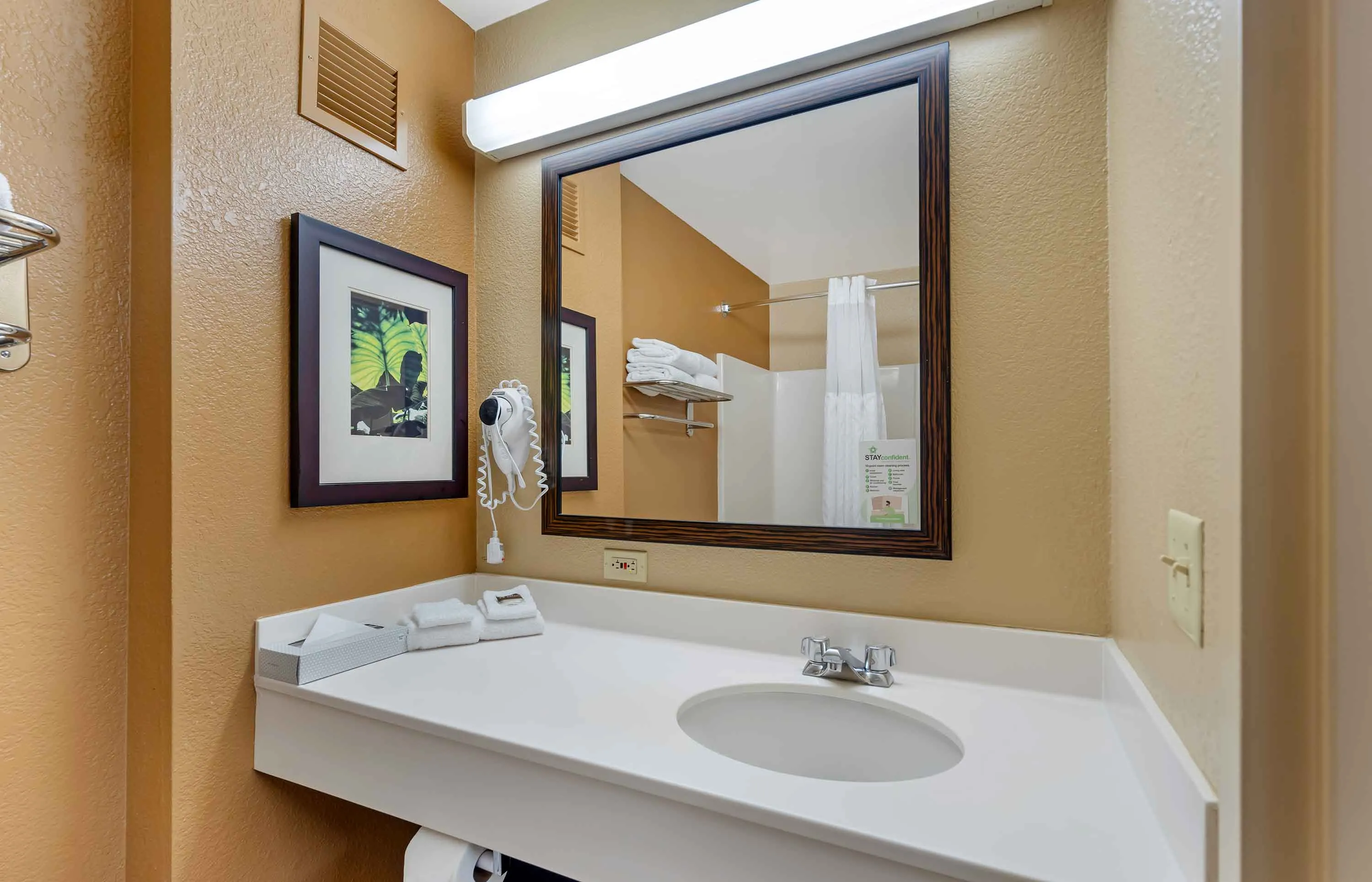 Studio Suite - 2 Full Beds