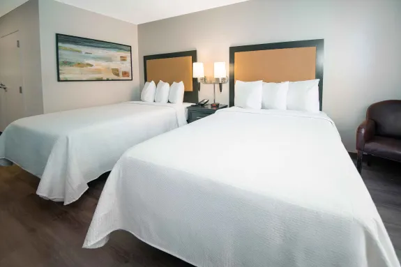 Studio Suite - 2 Queen Beds