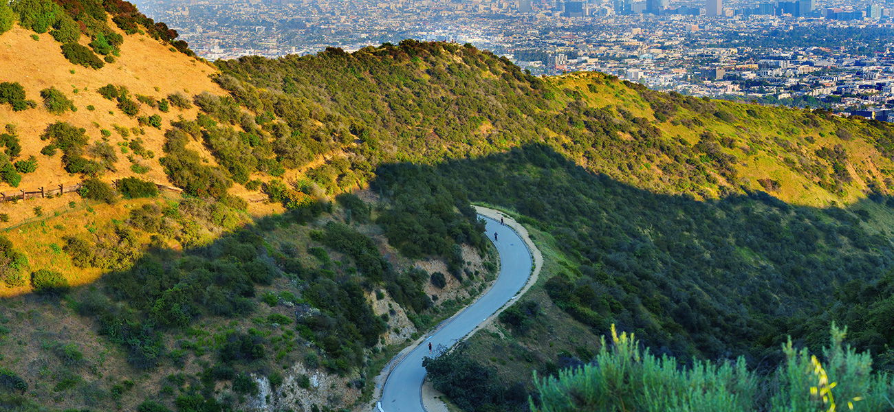 Aerial view of Runyon Canyon hillsides and city view.