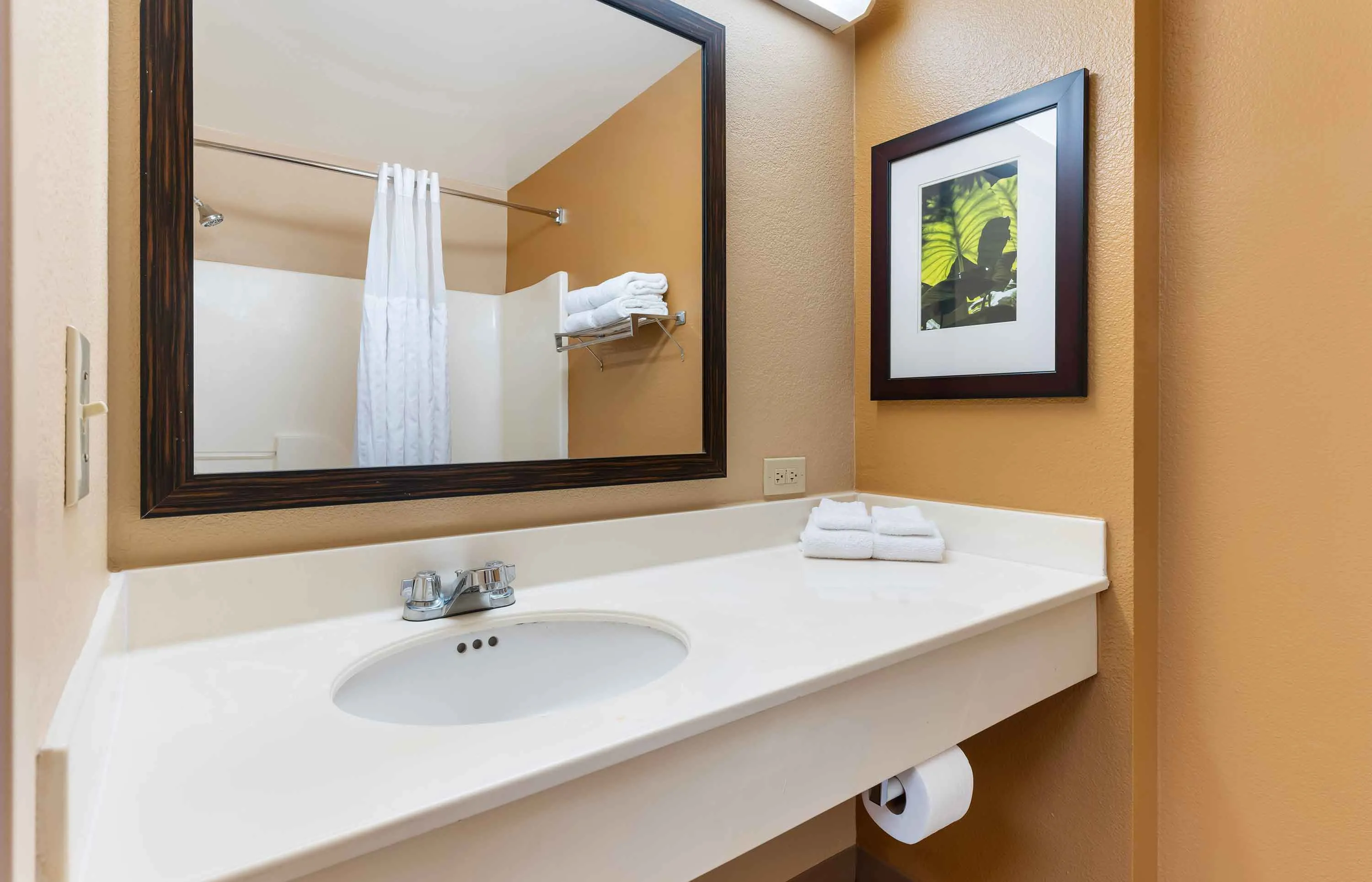Studio Suite - 2 Full Beds