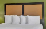 1 Bedroom Suite - 1 King Bed
