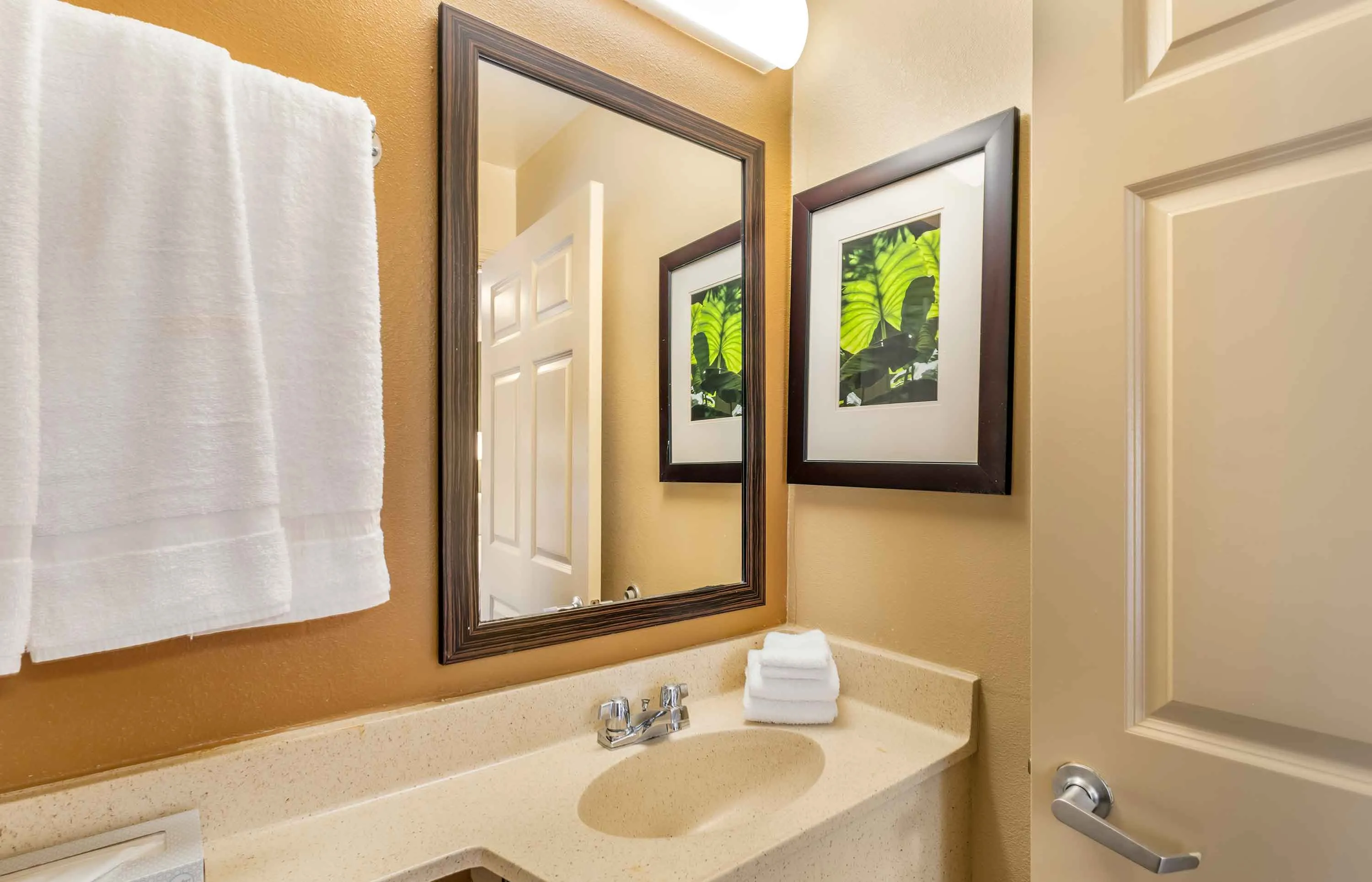 Studio Suite - 2 Full Beds
