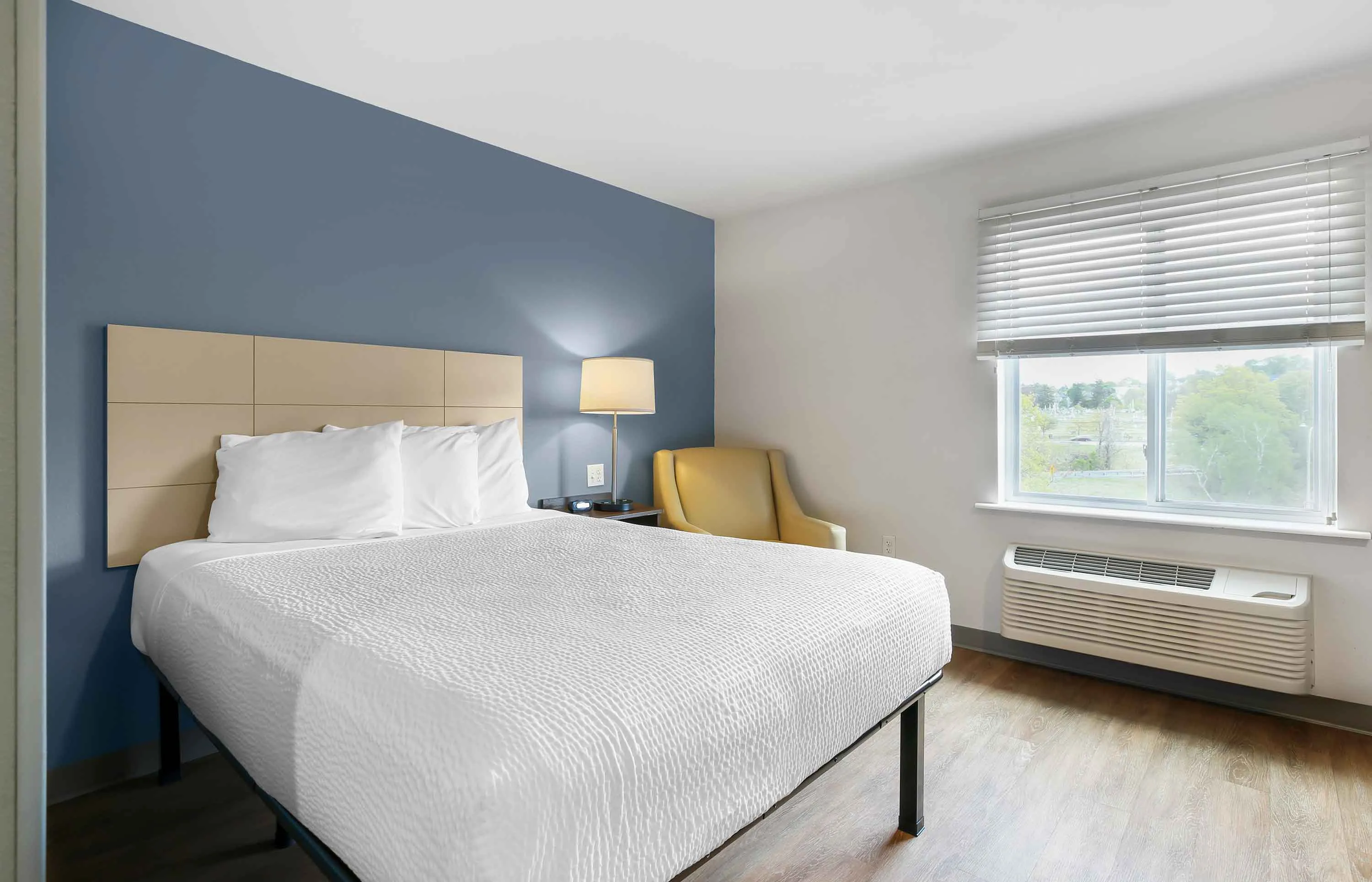 Studio Suite - 1 Queen Bed