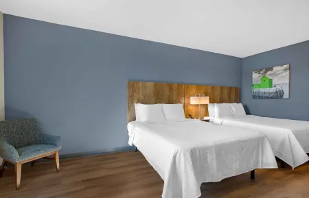 Studio Suite - 2 Queen Beds