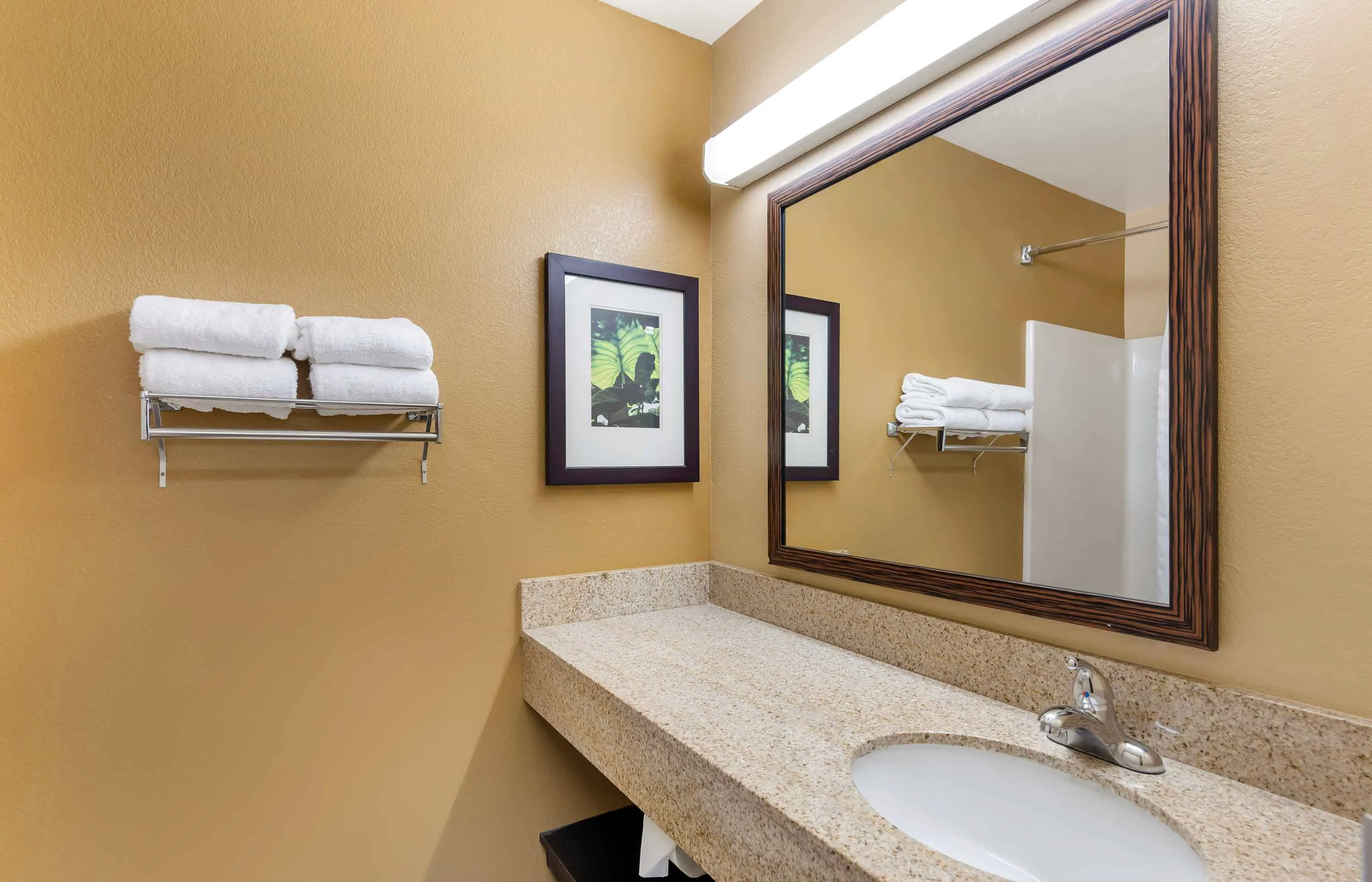 Studio Suite - 1 King Bed