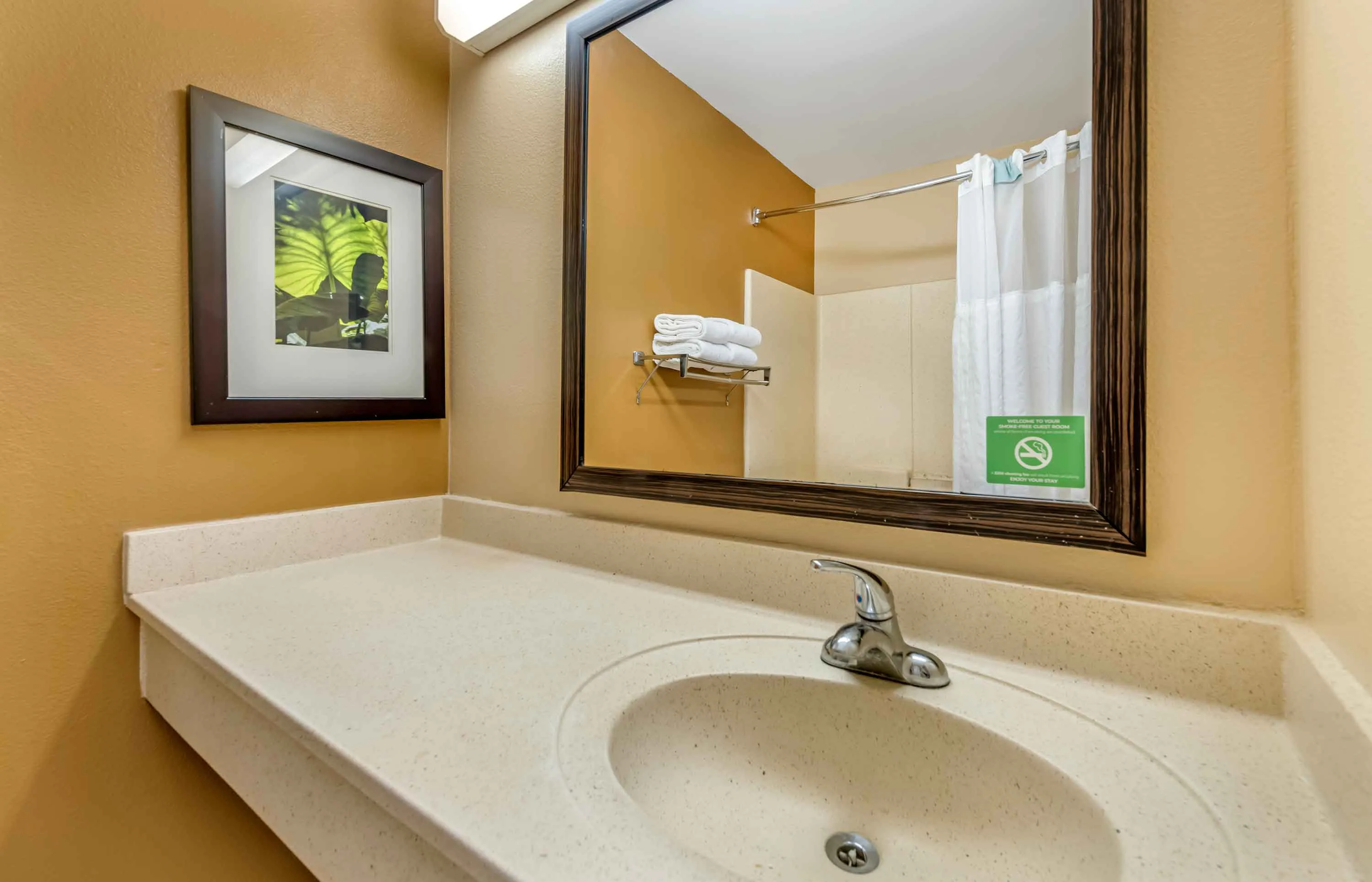 Studio Suite - 2 Full Beds