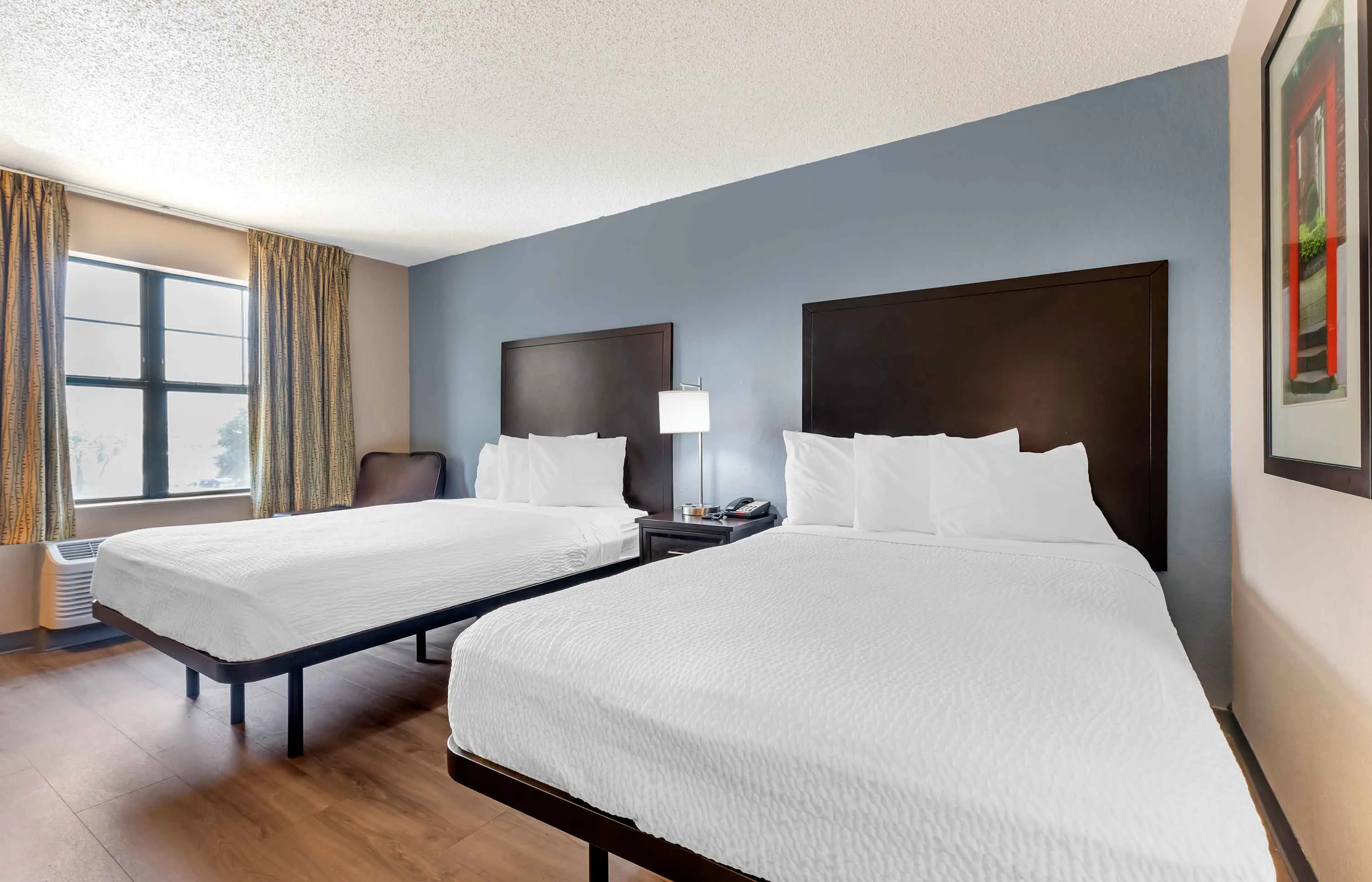 Studio Suite - 2 Full Beds