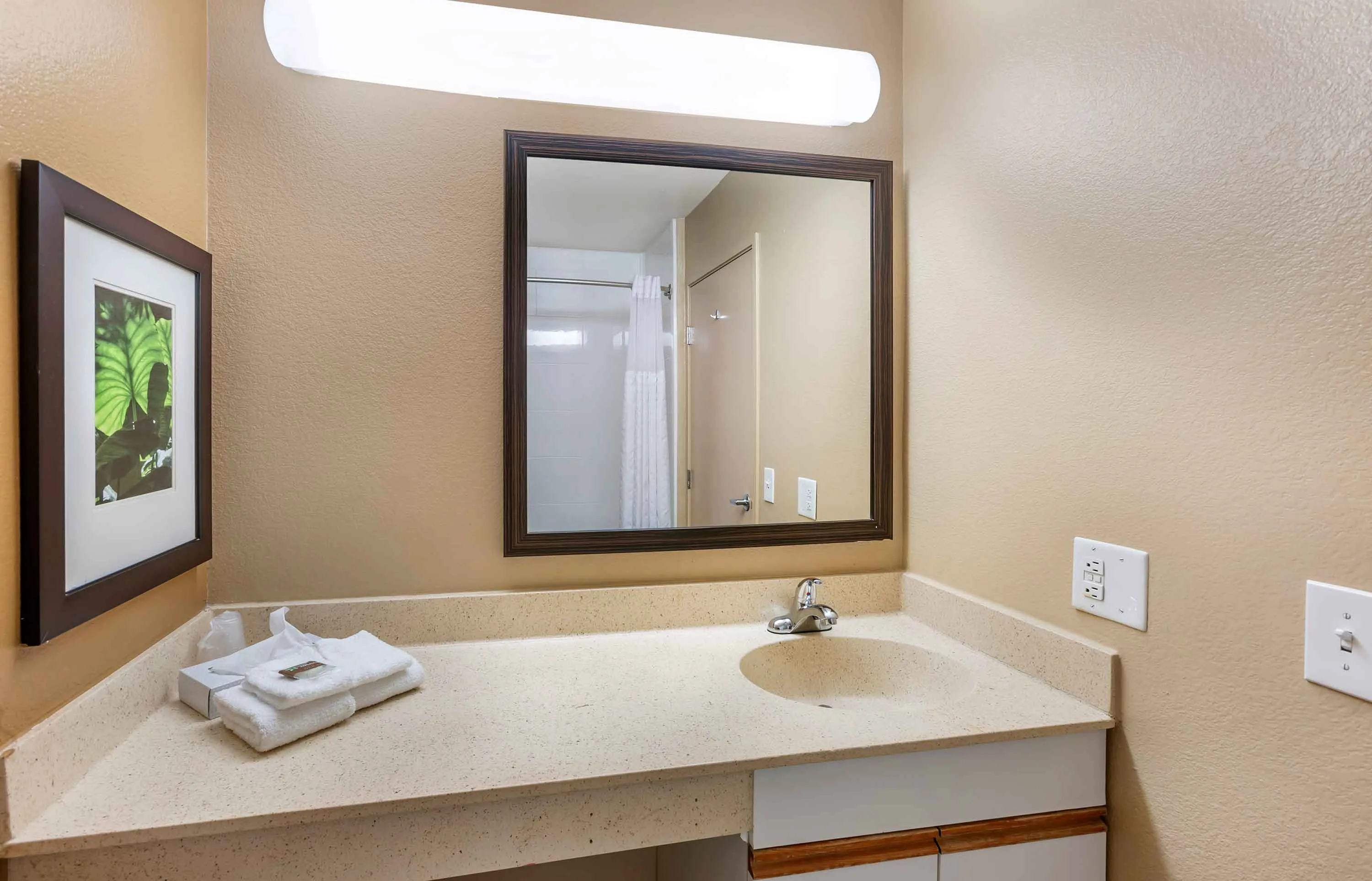 Studio Suite - 2 Full Beds