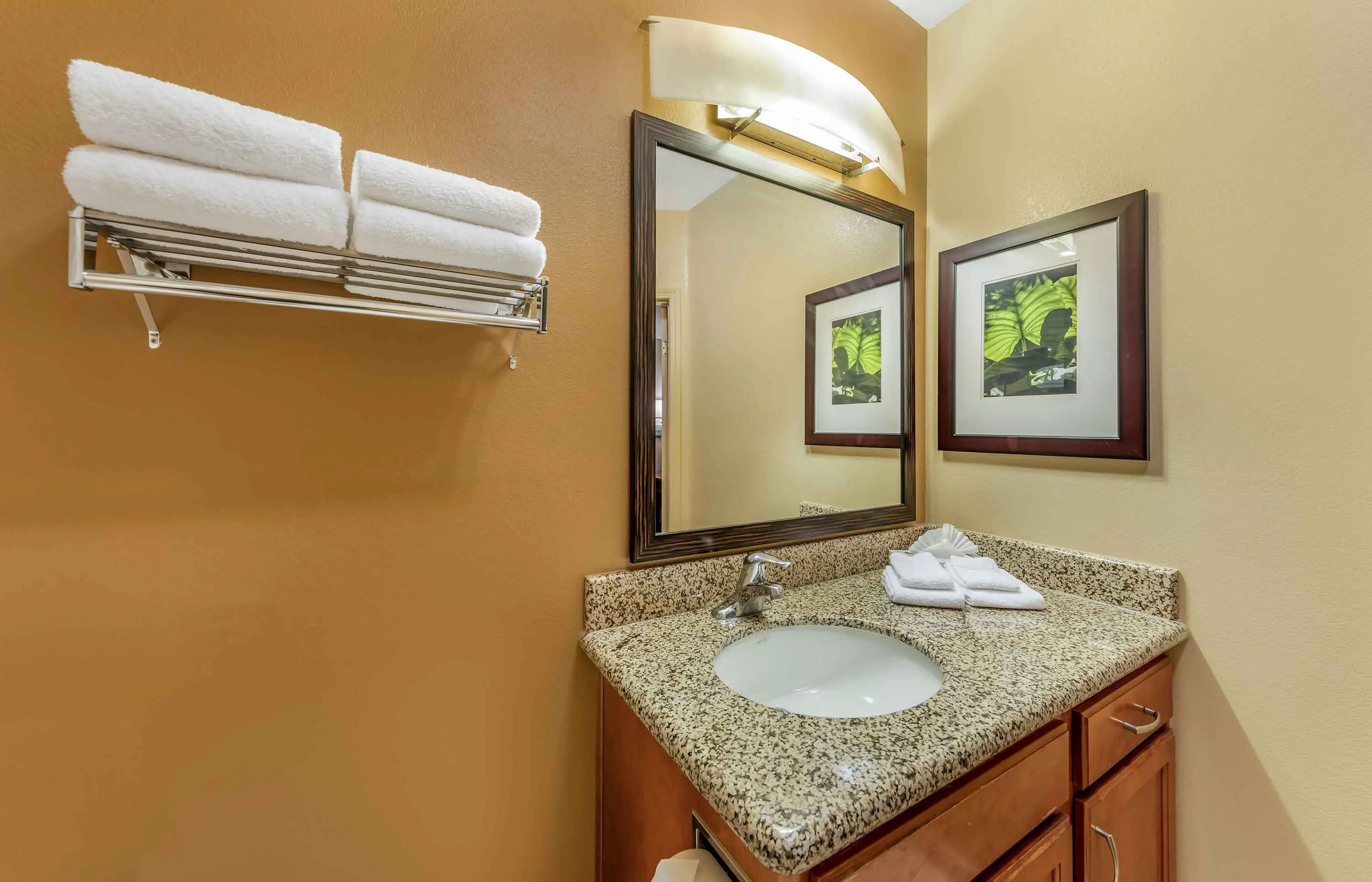 Studio Suite - 1 King Bed