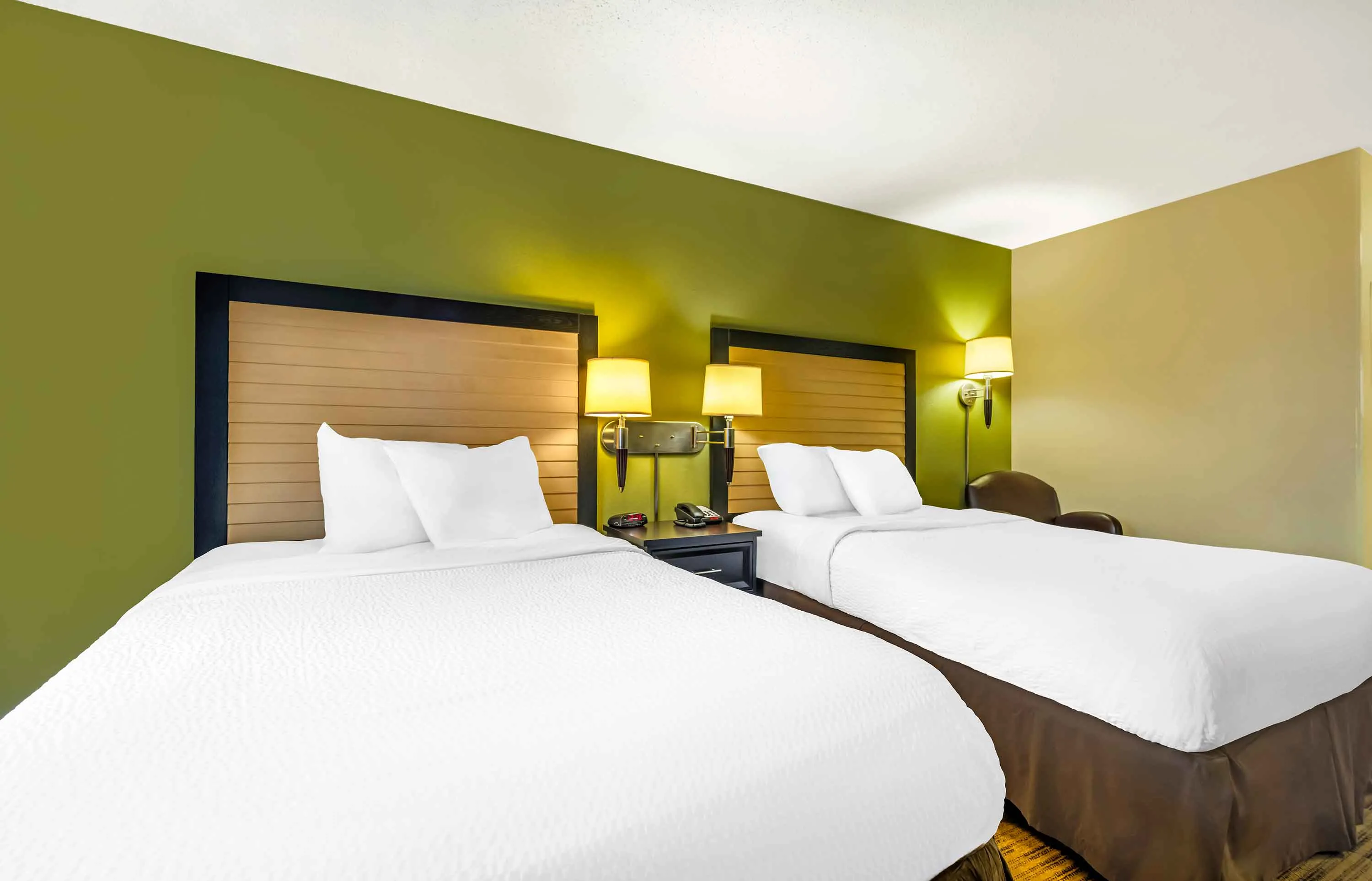 Studio Suite - 2 Full Beds