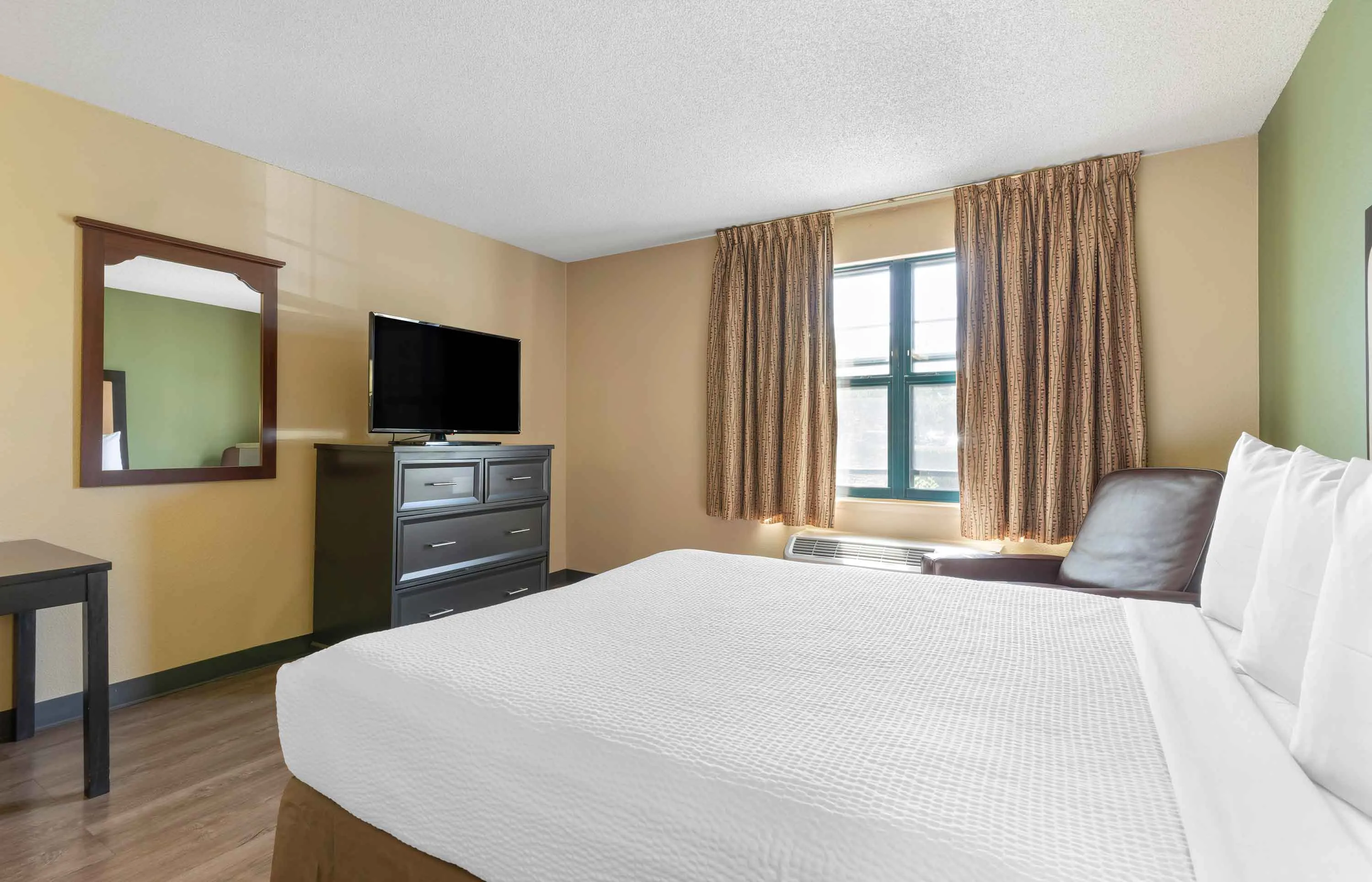 Studio Suite - 1 Queen Bed
