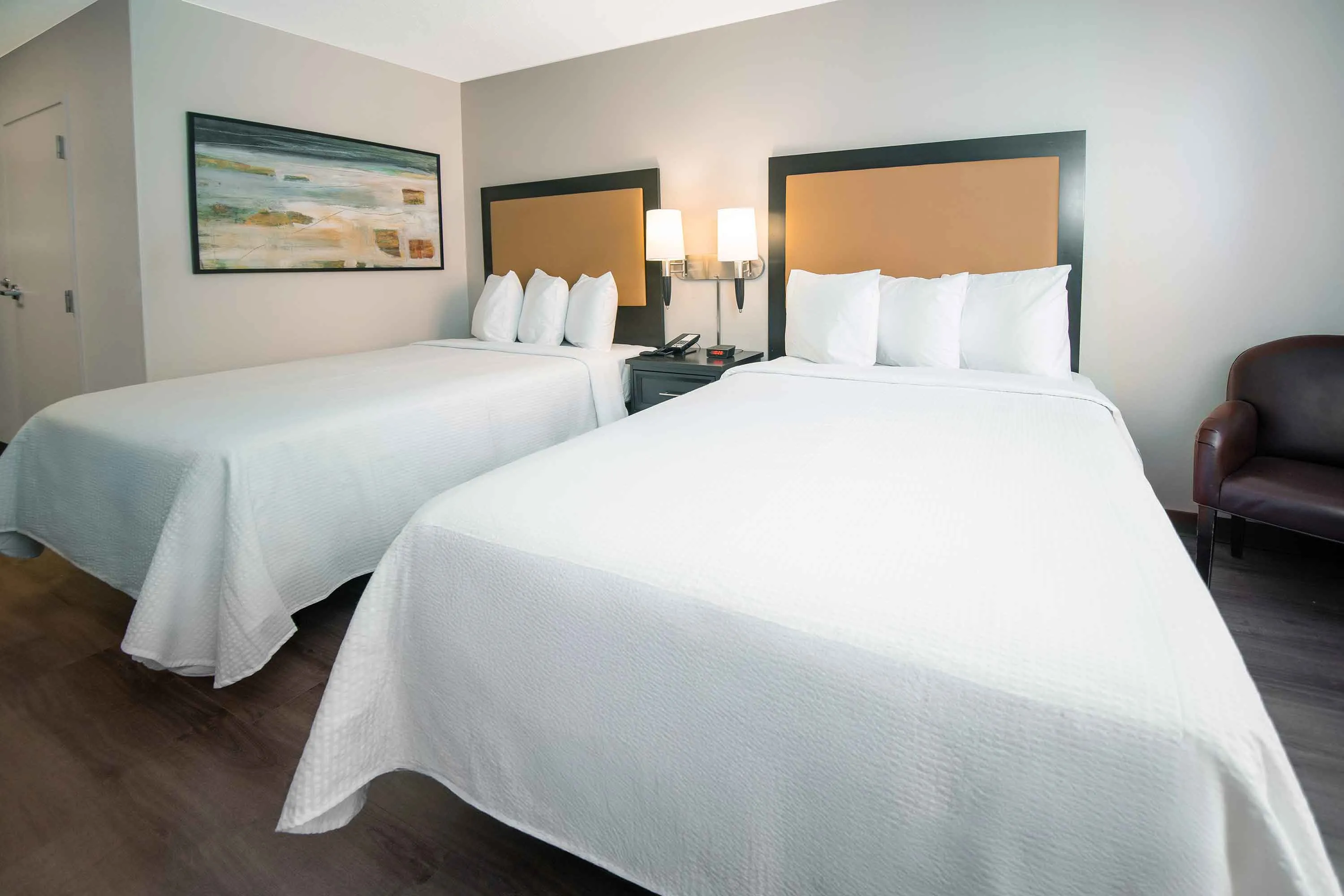 Studio Suite - 2 Full Beds
