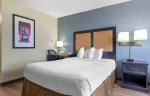 Studio Suite - 1 Queen Bed