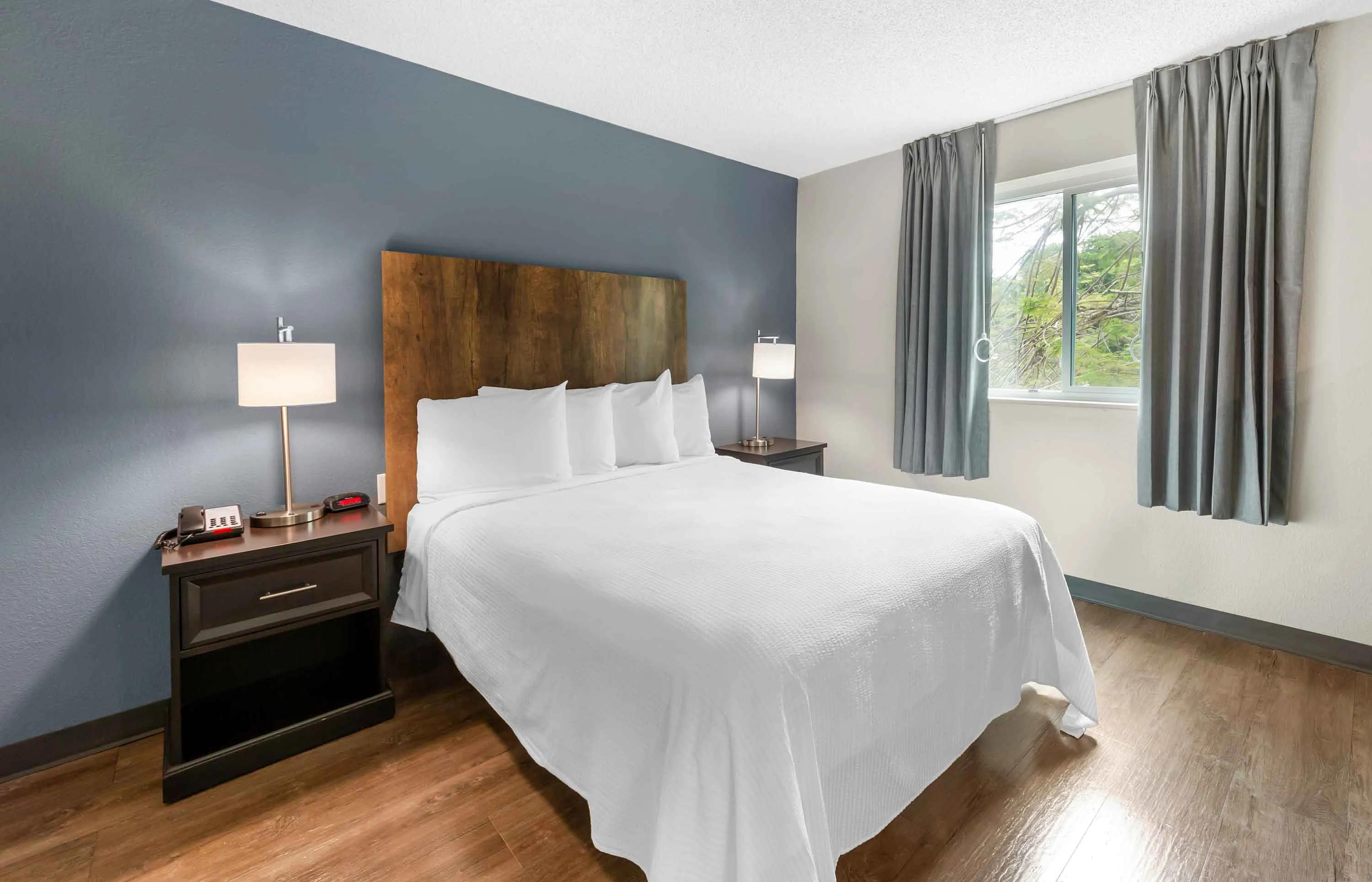 Deluxe Studio - 1 Queen Bed