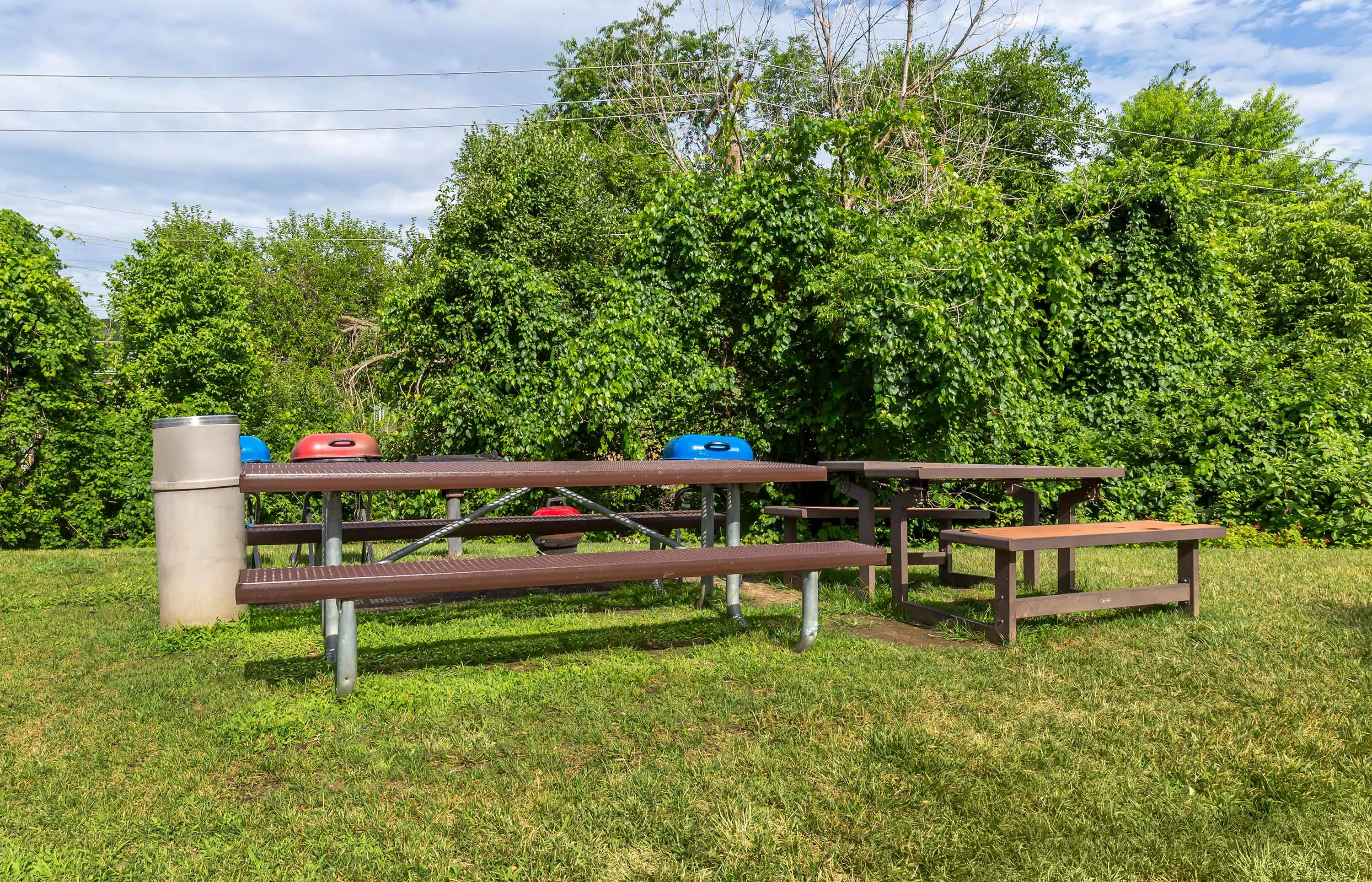 Picnic Area