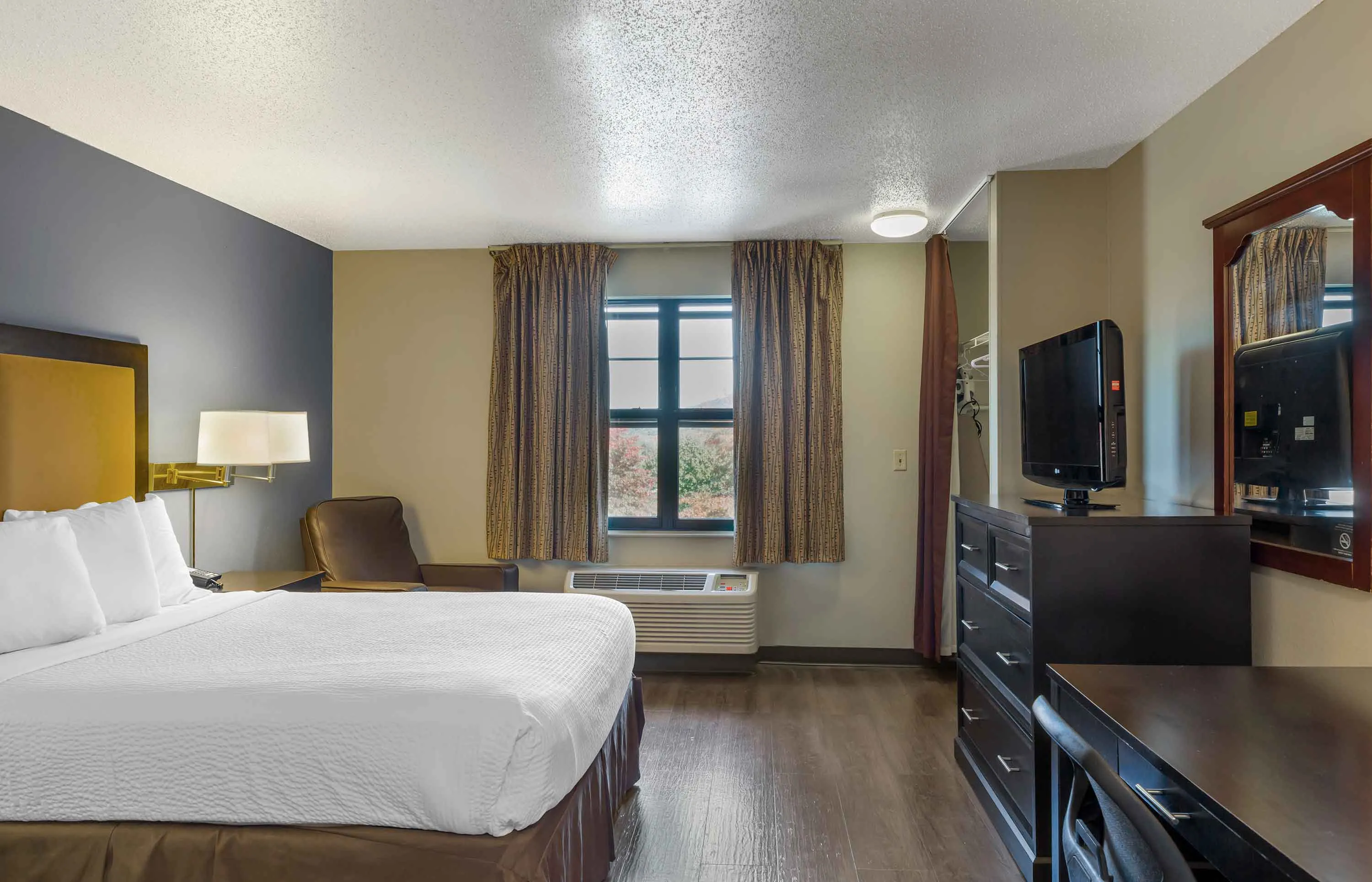 Studio Suite - 1 Queen Bed