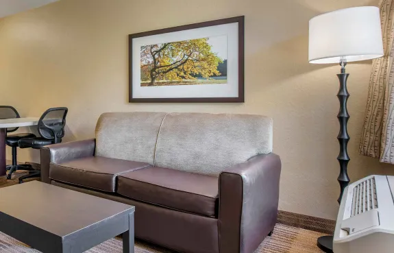 1 Bedroom Suite - 1 King Bed