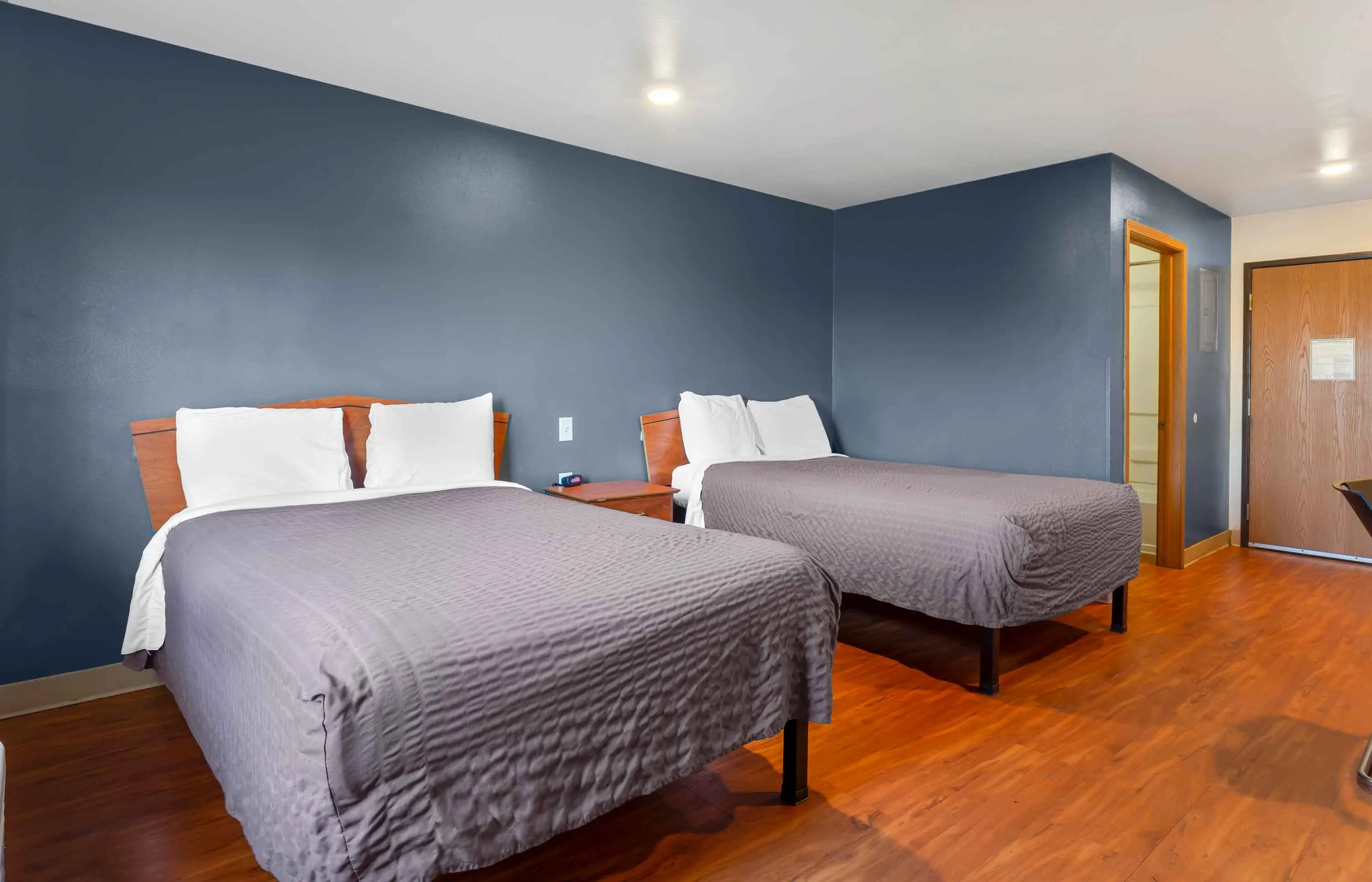 Studio Suite - 2 Full Beds