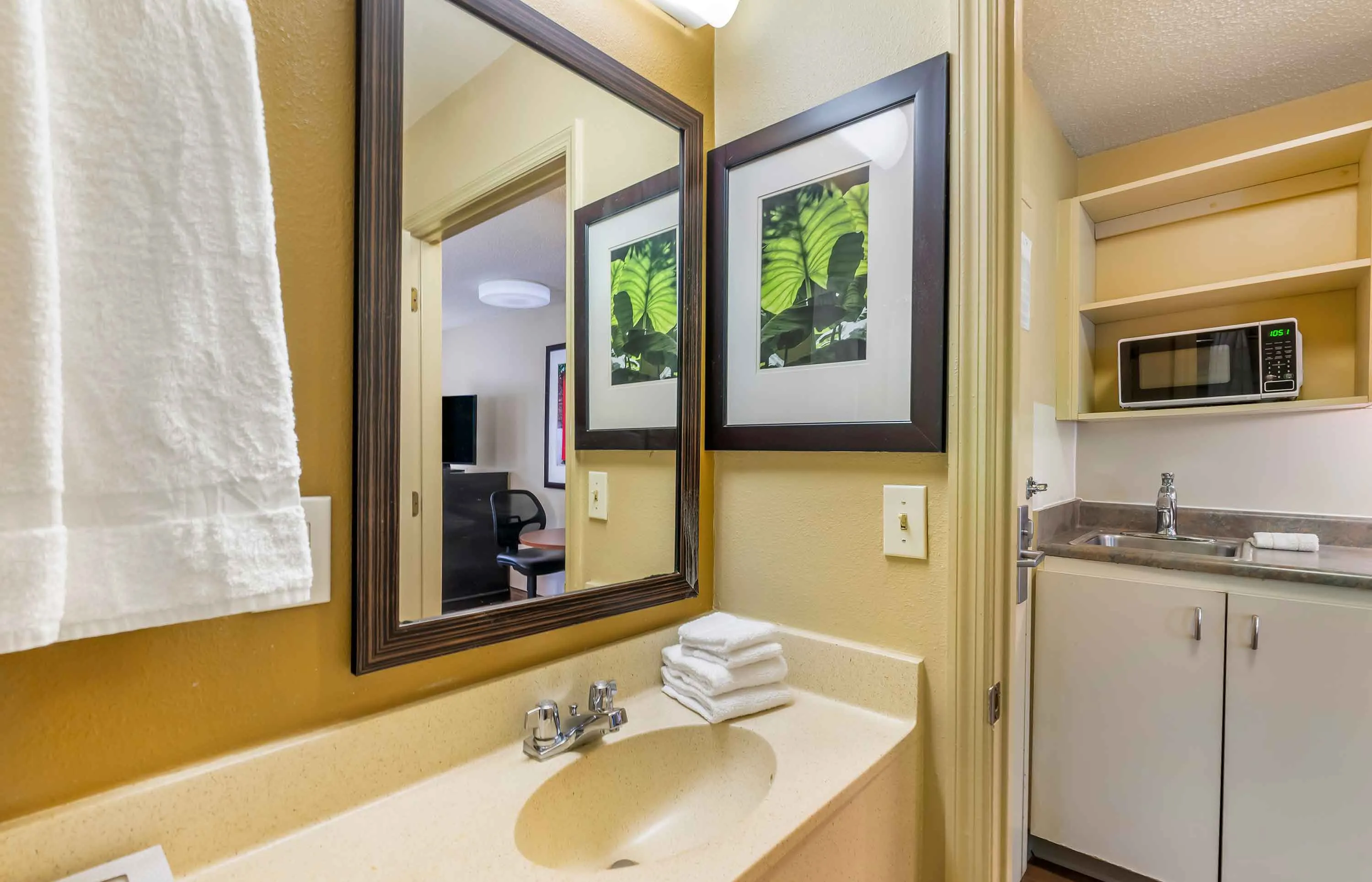Studio Suite - 1 Queen Bed