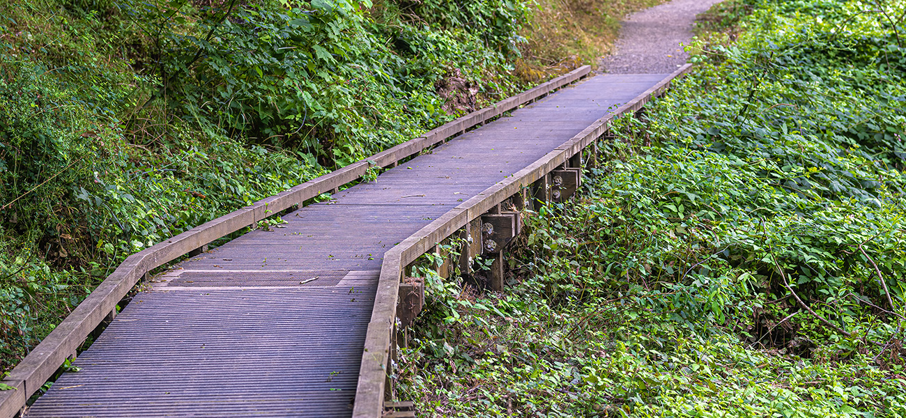 A path along the Oak Bottoms Wildlife Refuge Trail.