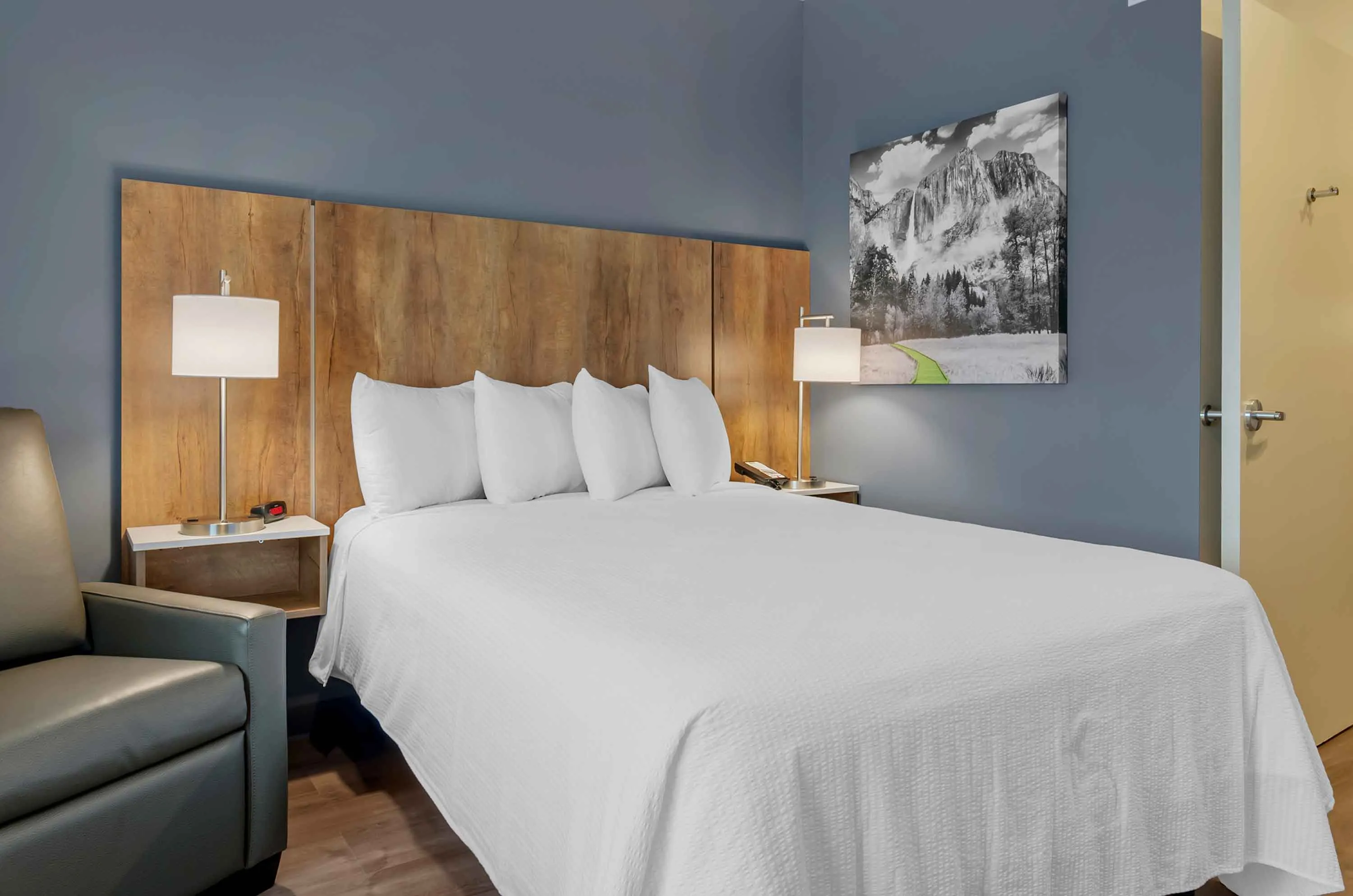 Studio Suite - 1 Queen Bed