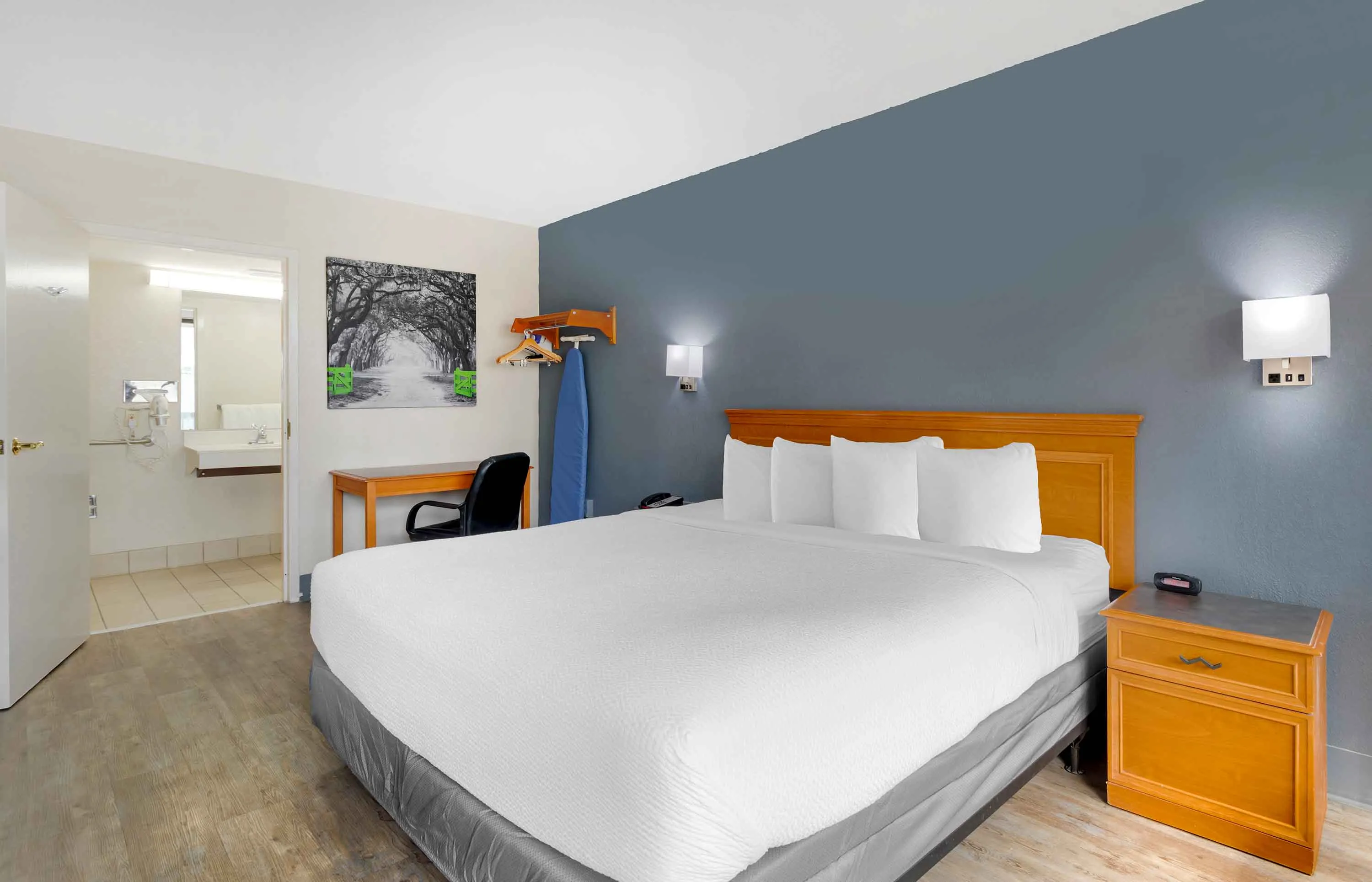 Studio Suite - 1 King Bed