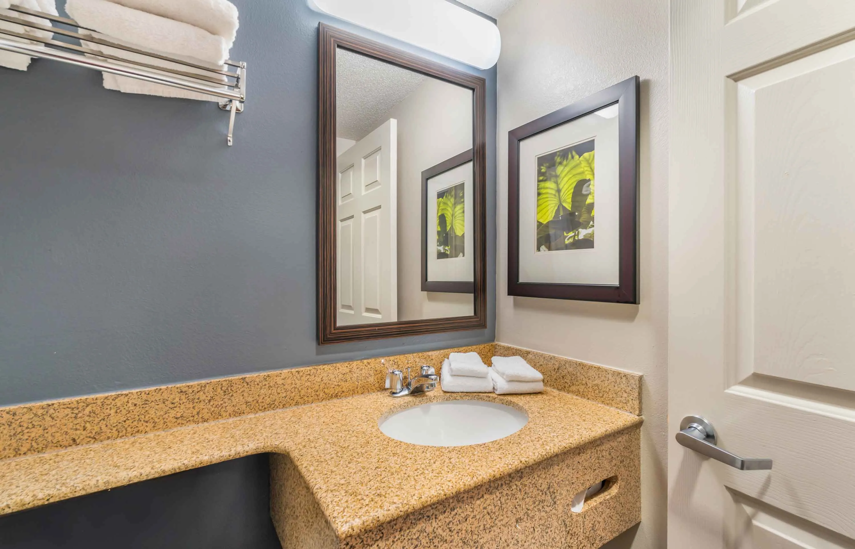 1 Bedroom Suite - 1 King Bed