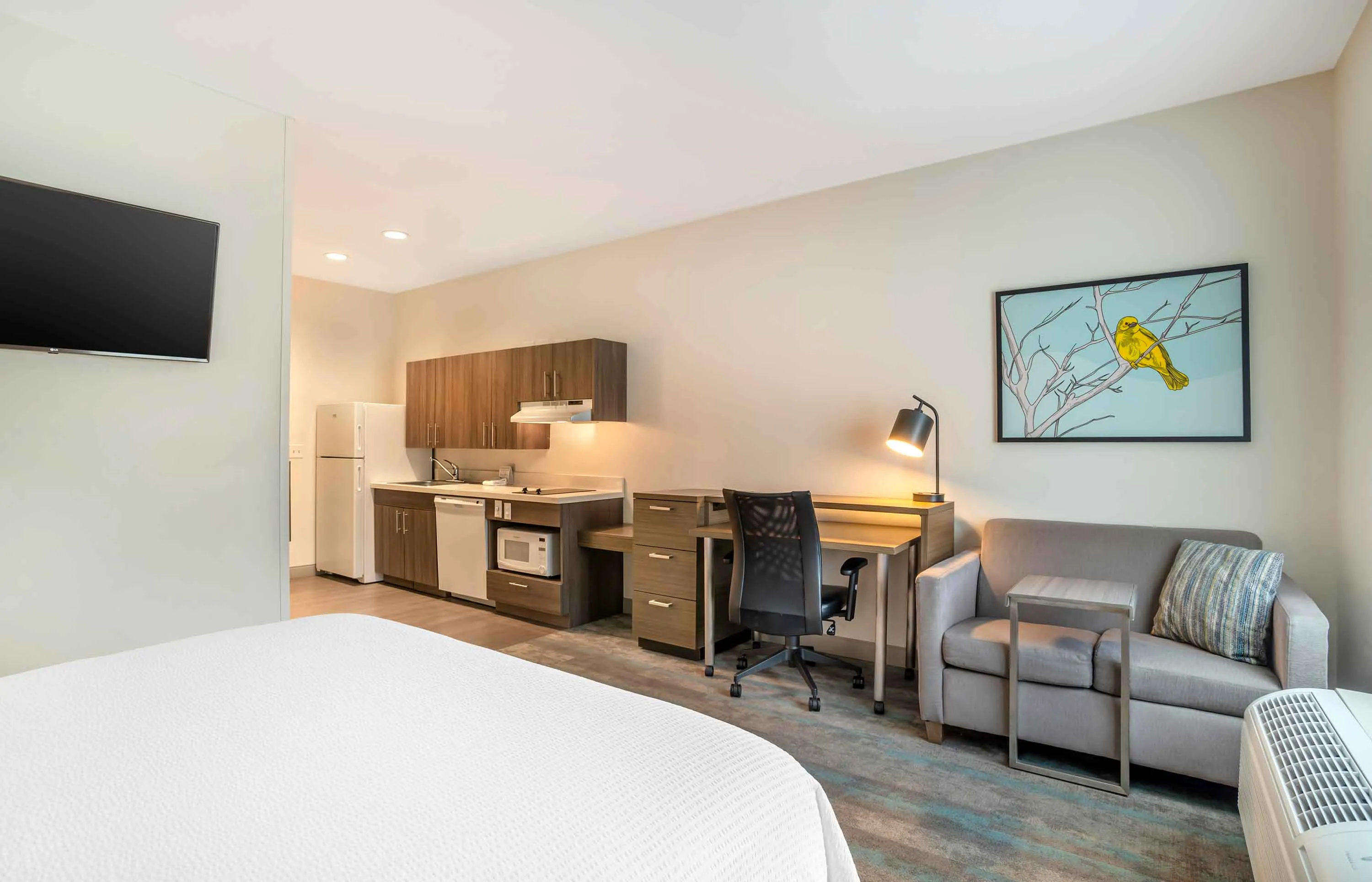 Studio Suite - 1 Queen Bed