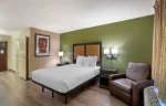 Studio Suite - 1 Queen Bed