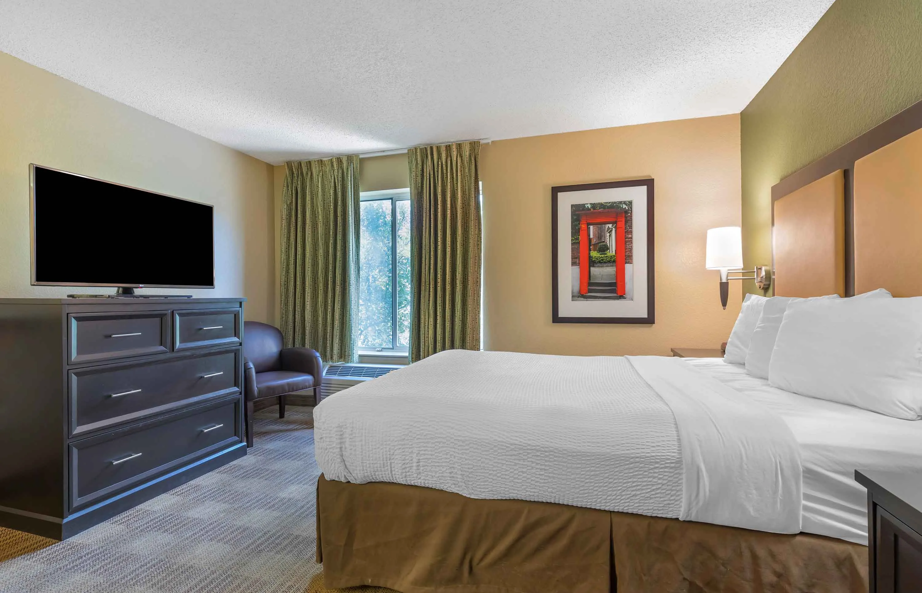 Studio Suite - 1 Queen Bed